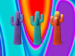 Cactus Ultraviolet Coat Hanger by Guido Drocco-Franco Mello