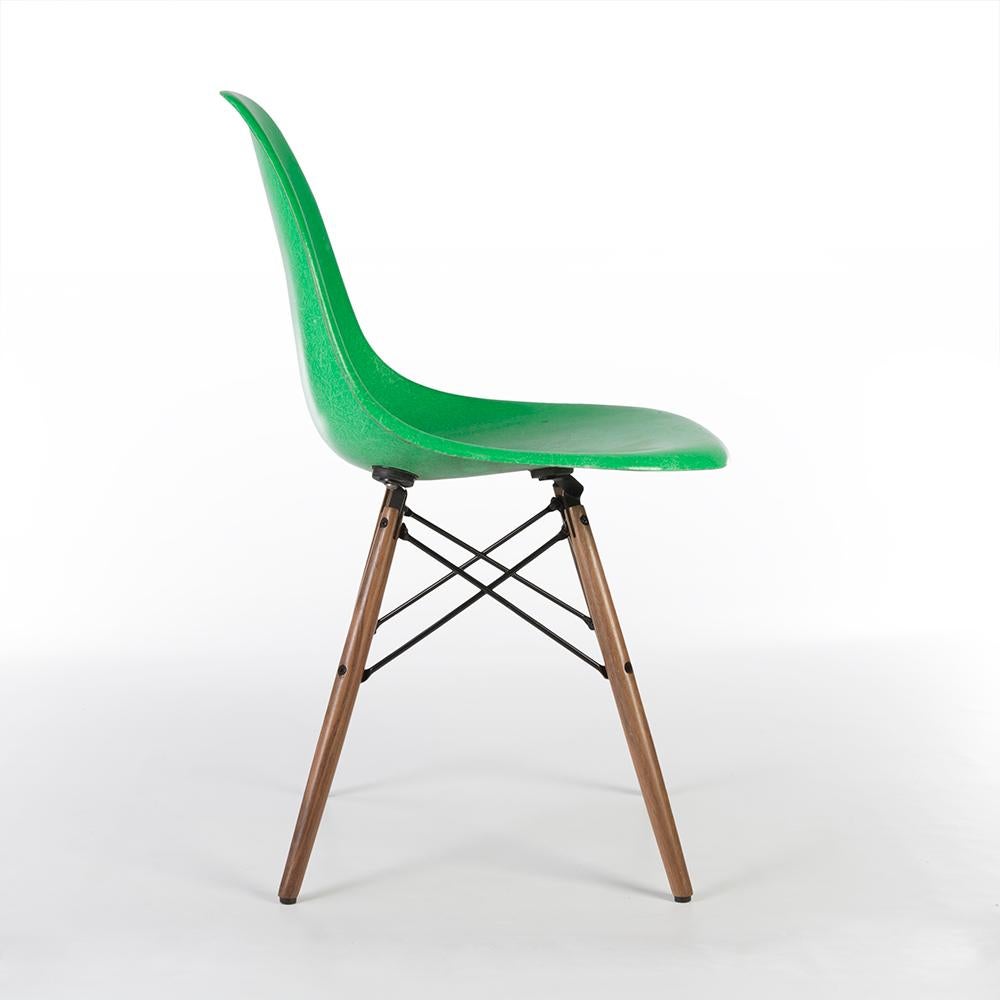 Mid-Century Modern Cadmium Green Herman Miller Eames DSW Dining Side Shell Chair For Sale