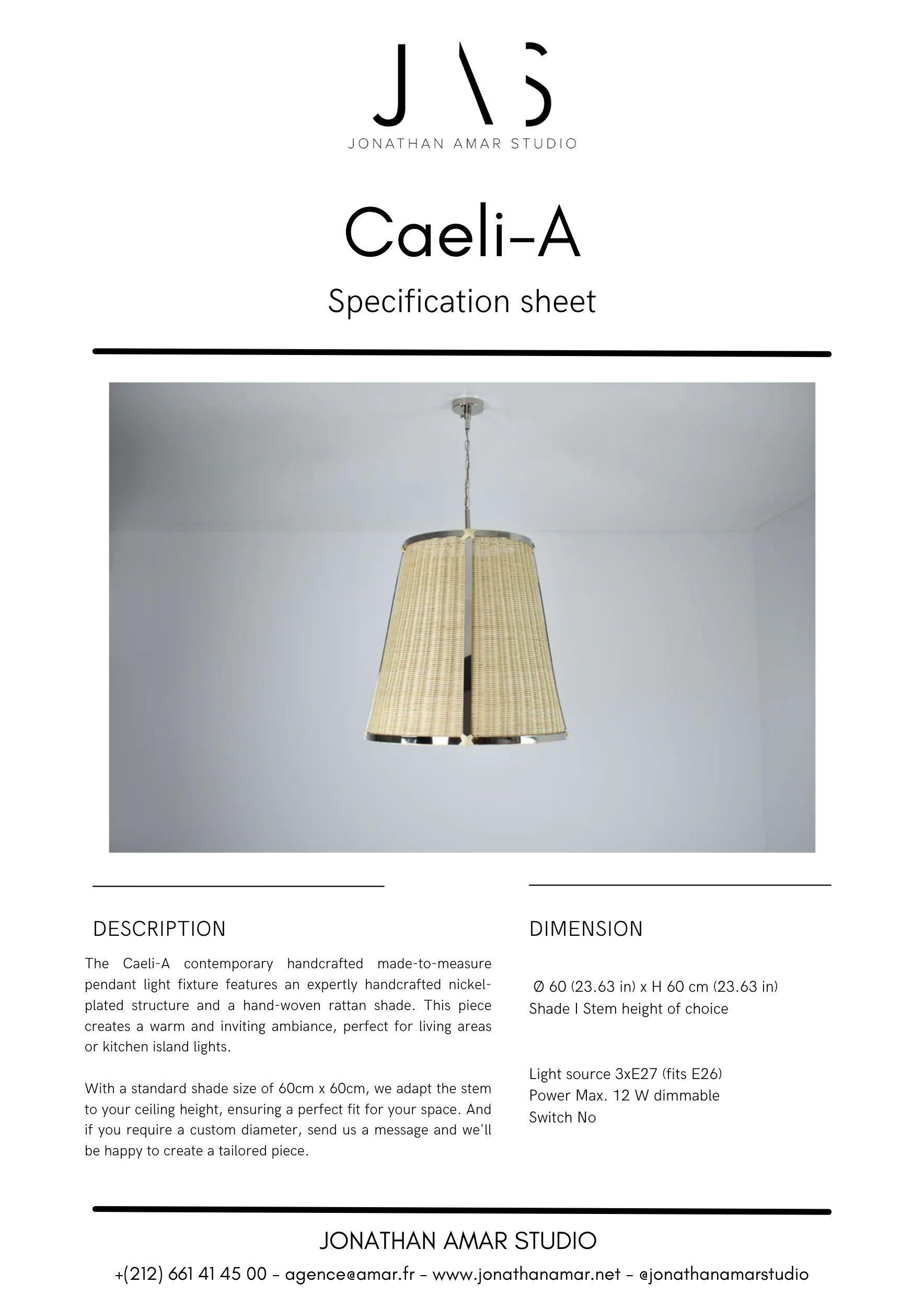 Lampe à suspension Caeli-A en rotin argenté, collection Flow en vente 1