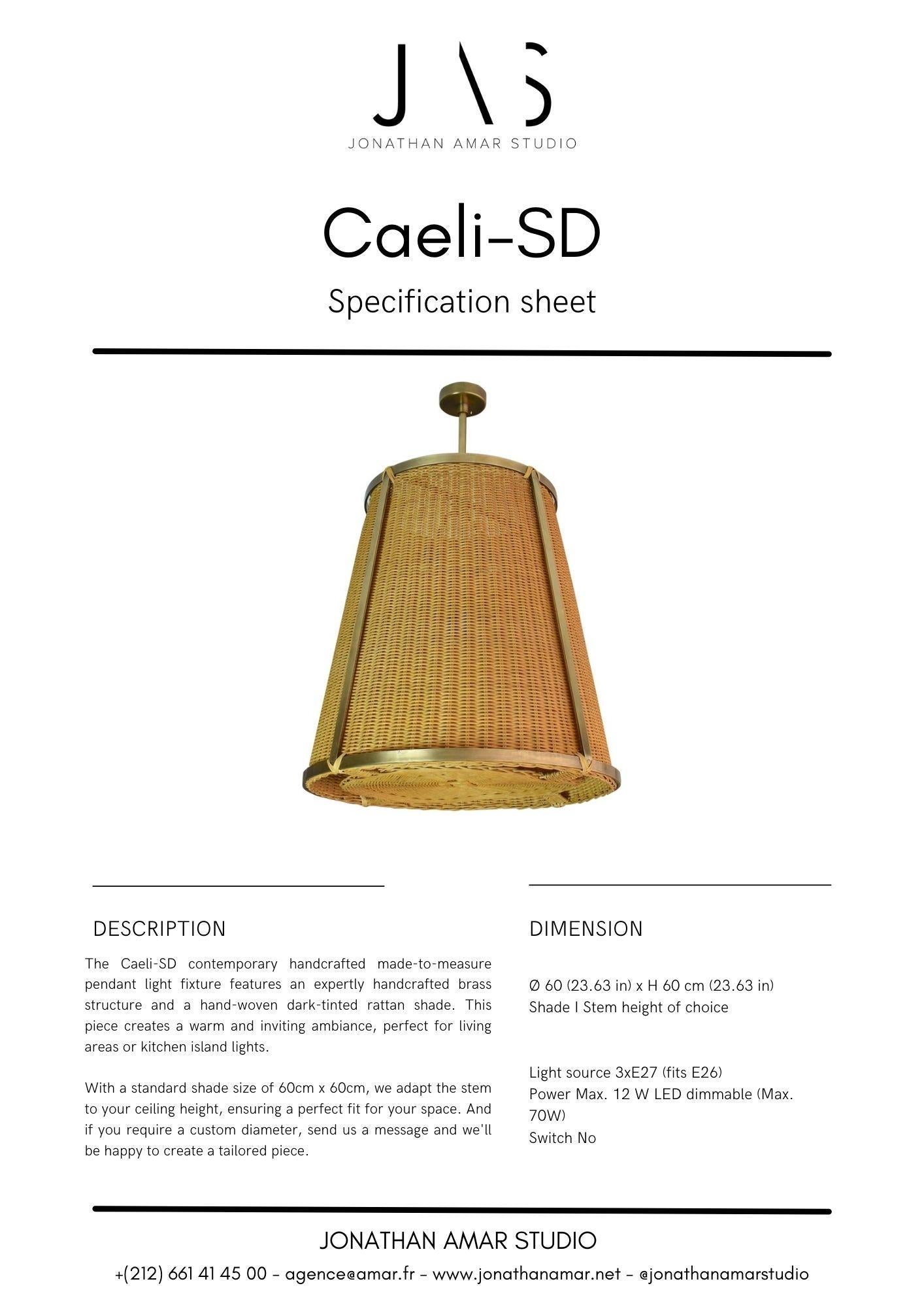 Caeli-SD Handcrafted Brass Rattan Pendant Light Fixture, Flow Collection For Sale 8