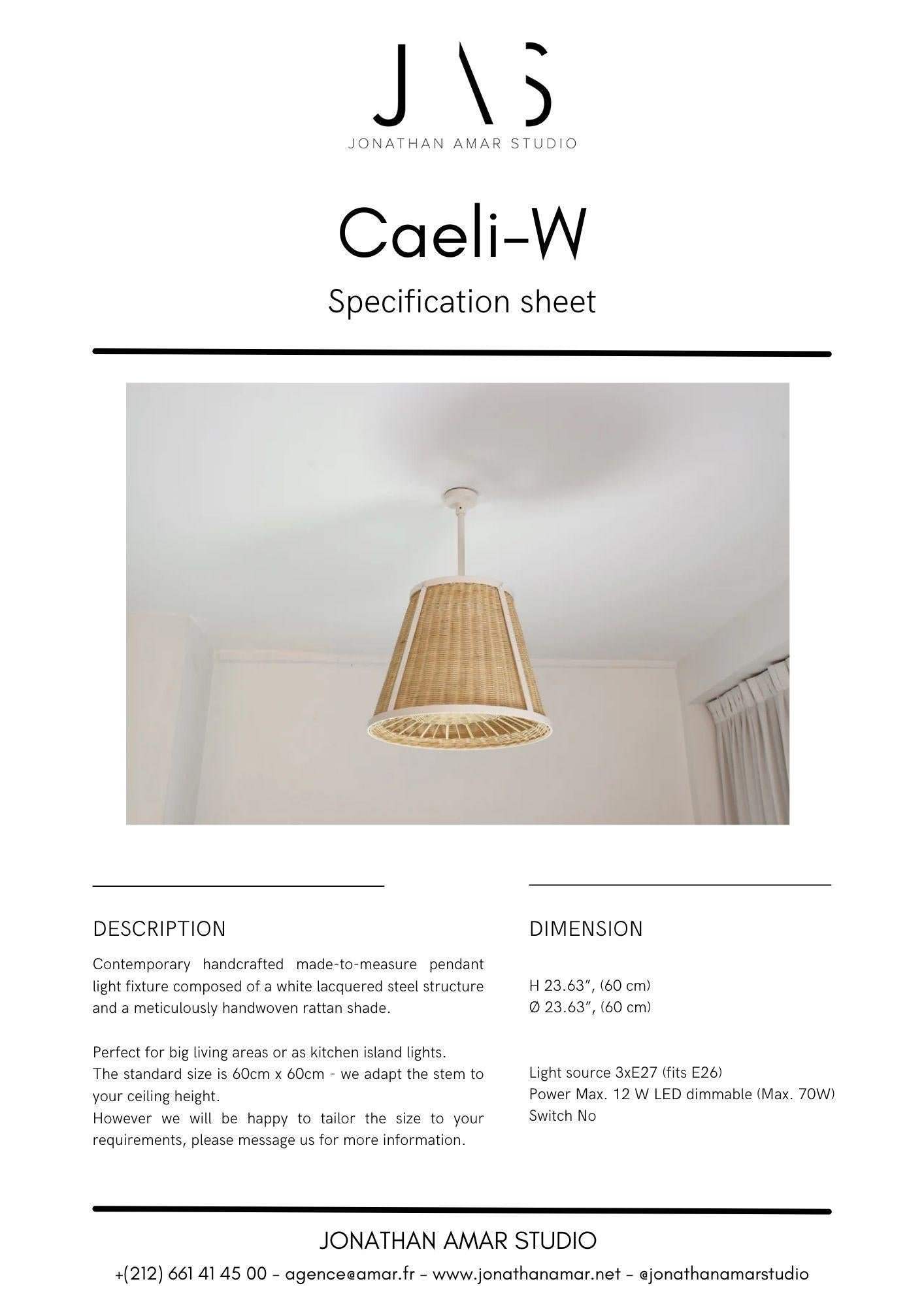 Lampe à suspension monumentale Caeli-W en acier et rotin, collection Flow en vente 12