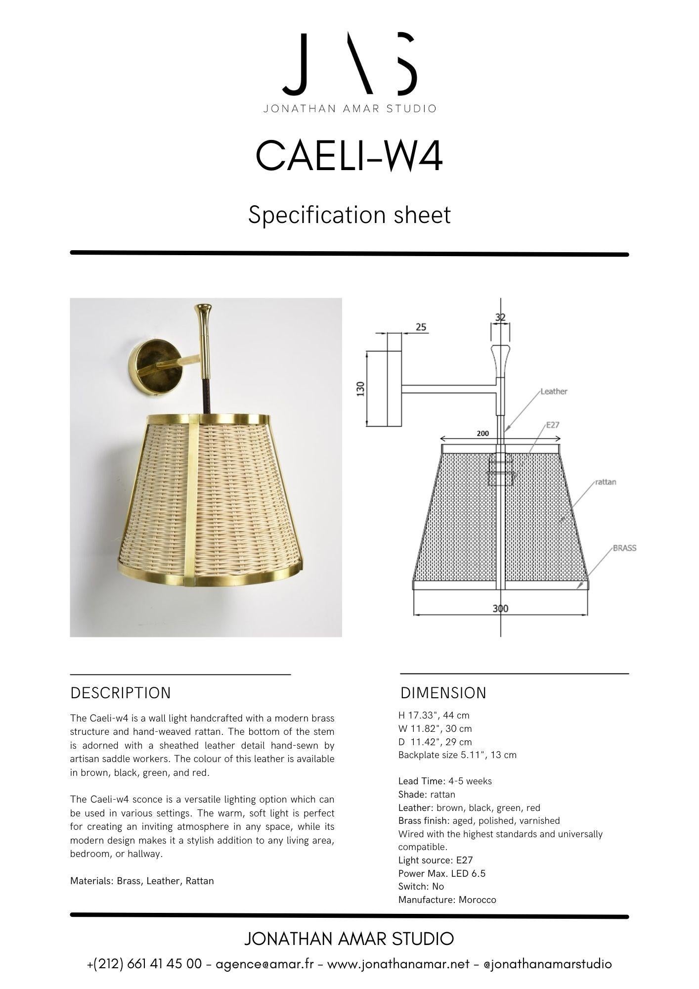 Caeli-W4 Brass and Rattan Sconce, Jas For Sale 6