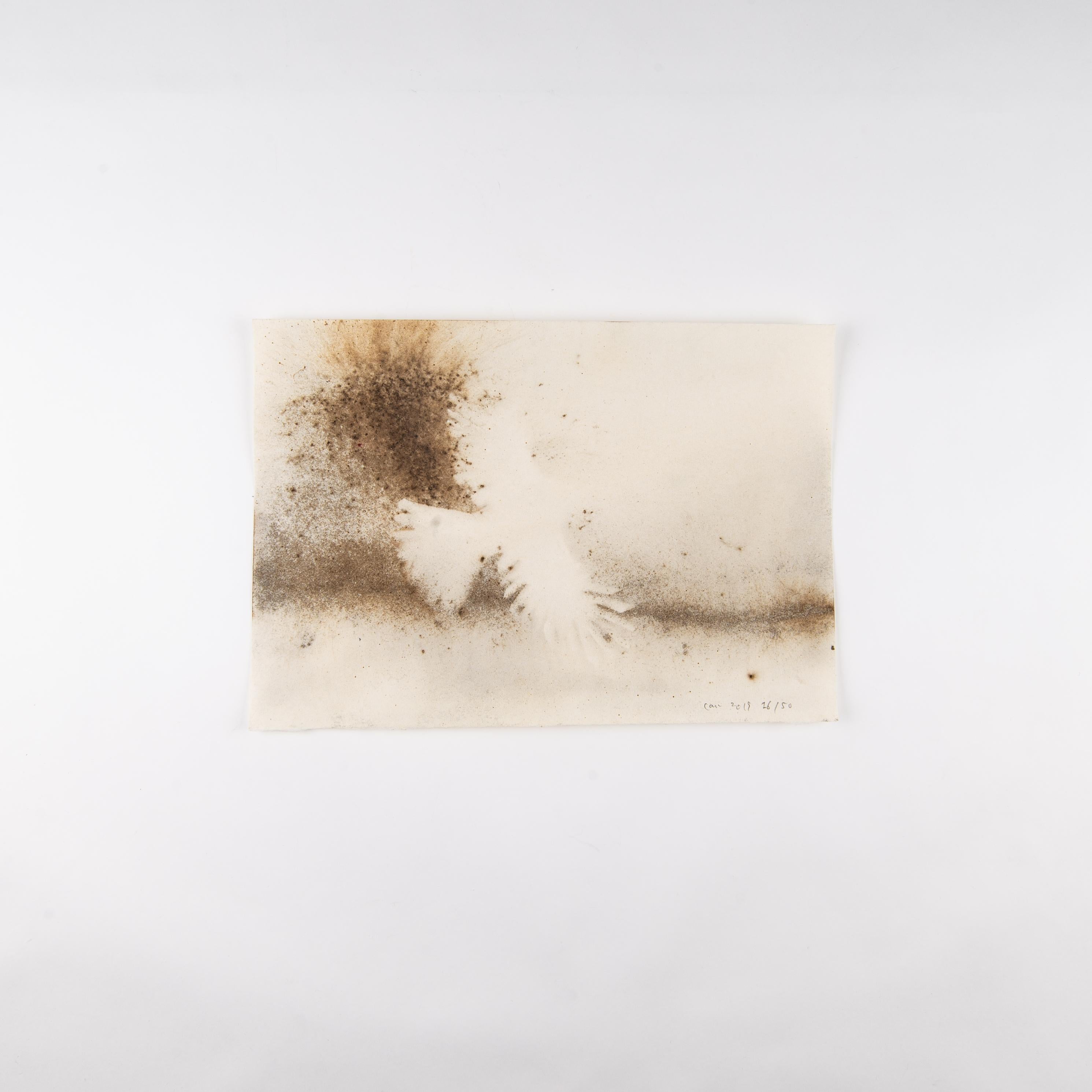 cai guo-qiang art for sale