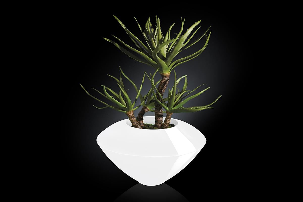 Modern Cairo Set Arrangement, Flowers, Vase, Indoor Use, Italy For Sale