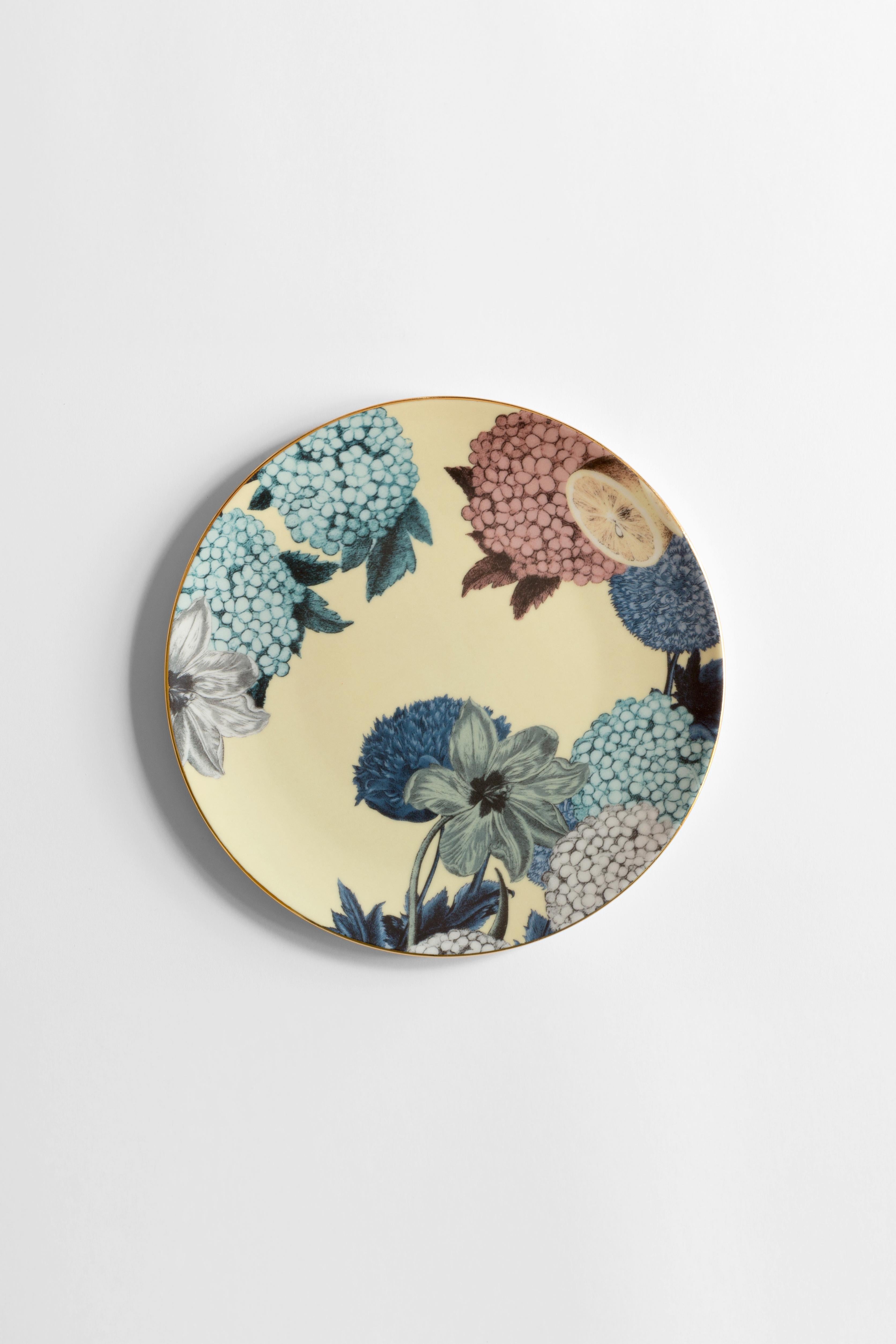 modern porcelain plates