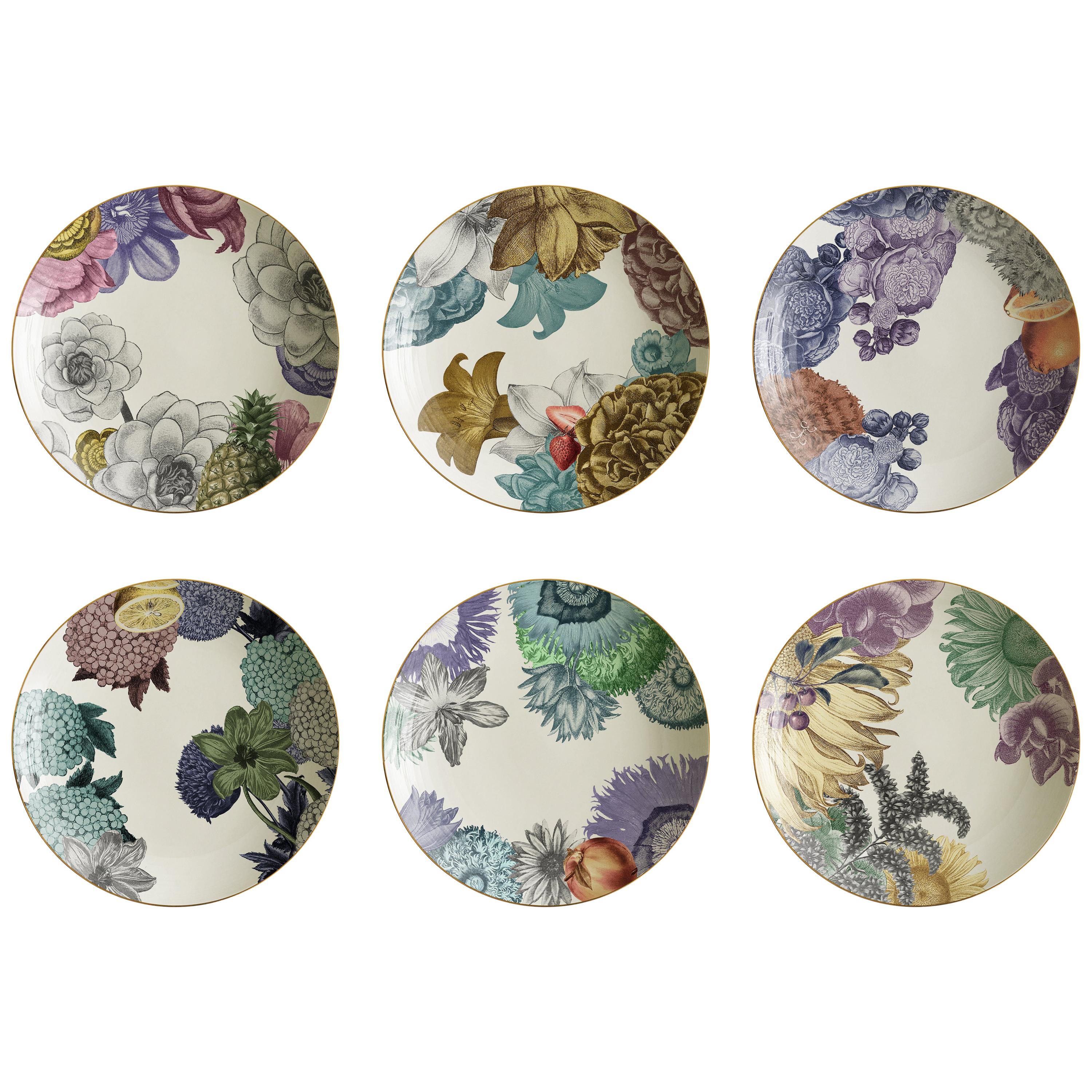 Cairo, Six Contemporary Porcelain Soup Plates with Decorative Design