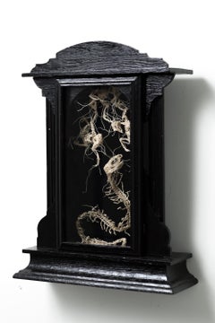 «Sanctum», ensamblaje gótico de esqueletos tejidos a ganchillo en una caja de reloj antiguo