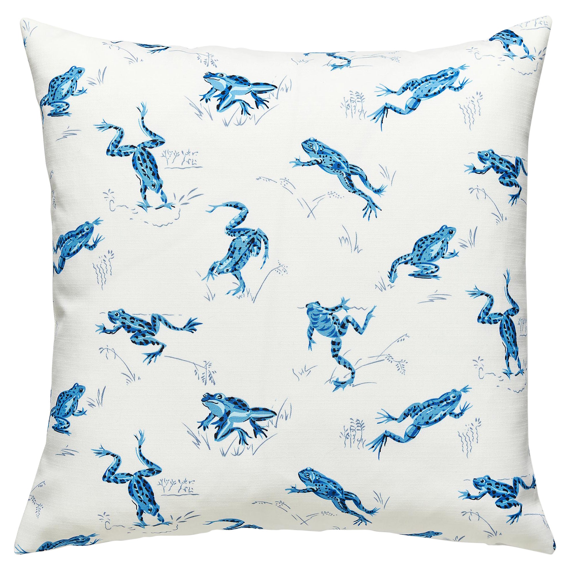 Coussin d'extérieur Calabasas Cnty