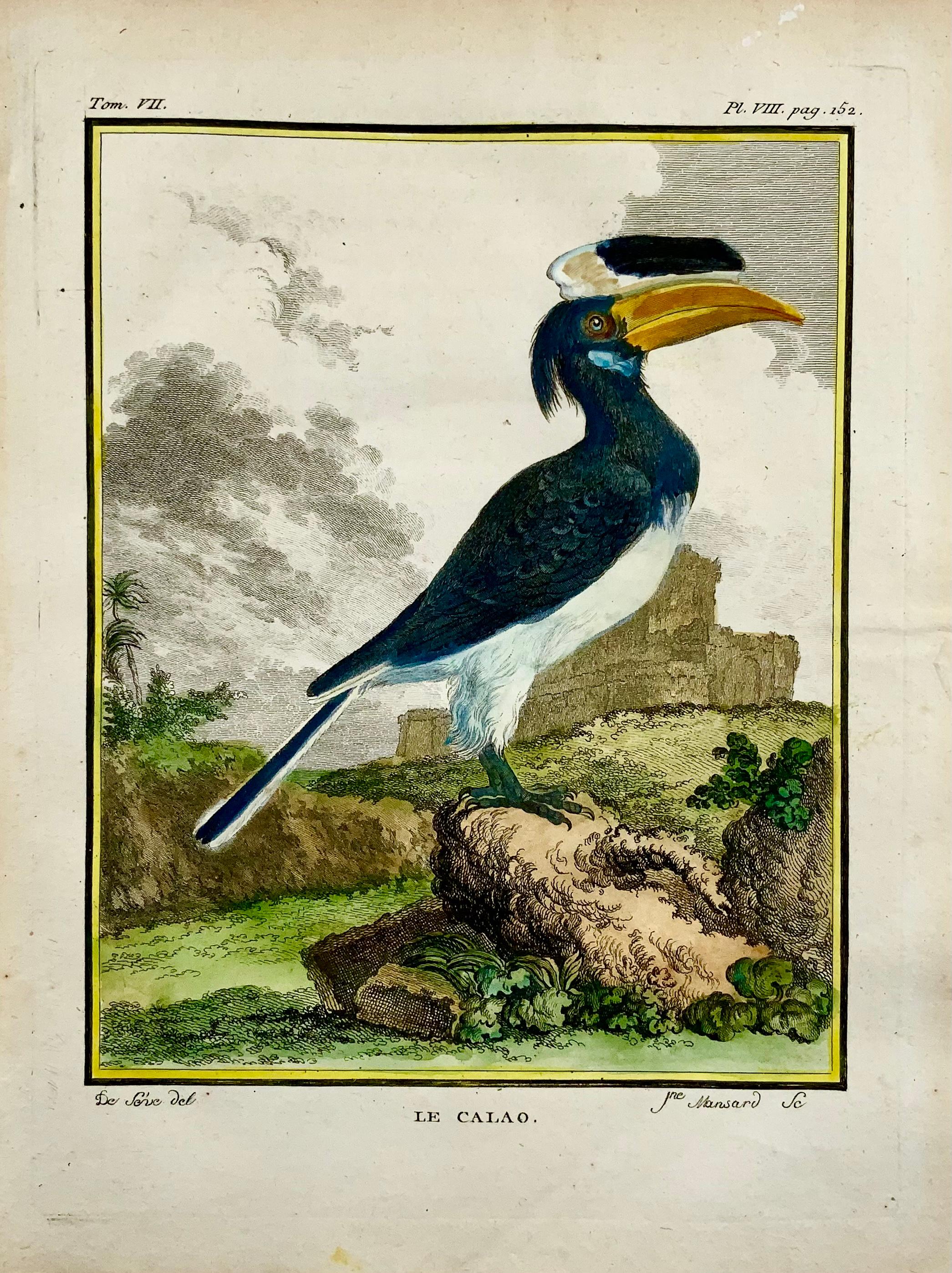 Engraving on hand laid (verge) paper. 

Issued for the famed First Edition in quarto of the “Histoire naturelle des oiseaux.”, by Georges-Louis Leclerc, Comte de Buffon, ed. published in Paris ca 1775. 

Made by ‘Mansard’ after ‘Jacques de