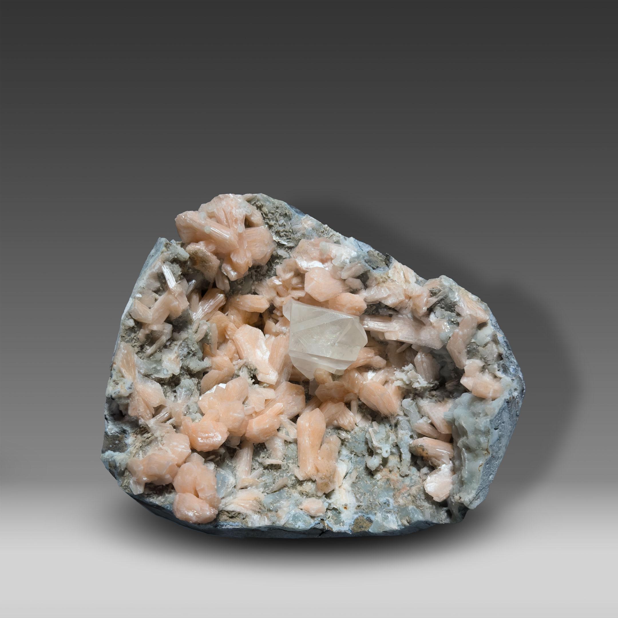 This exceptional specimen captures the elegance of India’s celebrated zeolite deposits. At its center rests a sharp, glassy Calcite crystal, distinguished by its translucency and precision of form. Surrounding it is a halo of peach-pink Stilbite