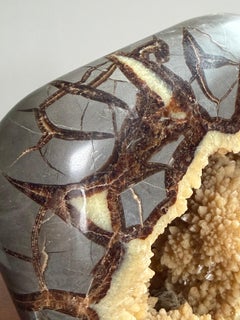 Calcite Crystal Septarian Buffalo Sculpture Carved Stone Masculine Rugged