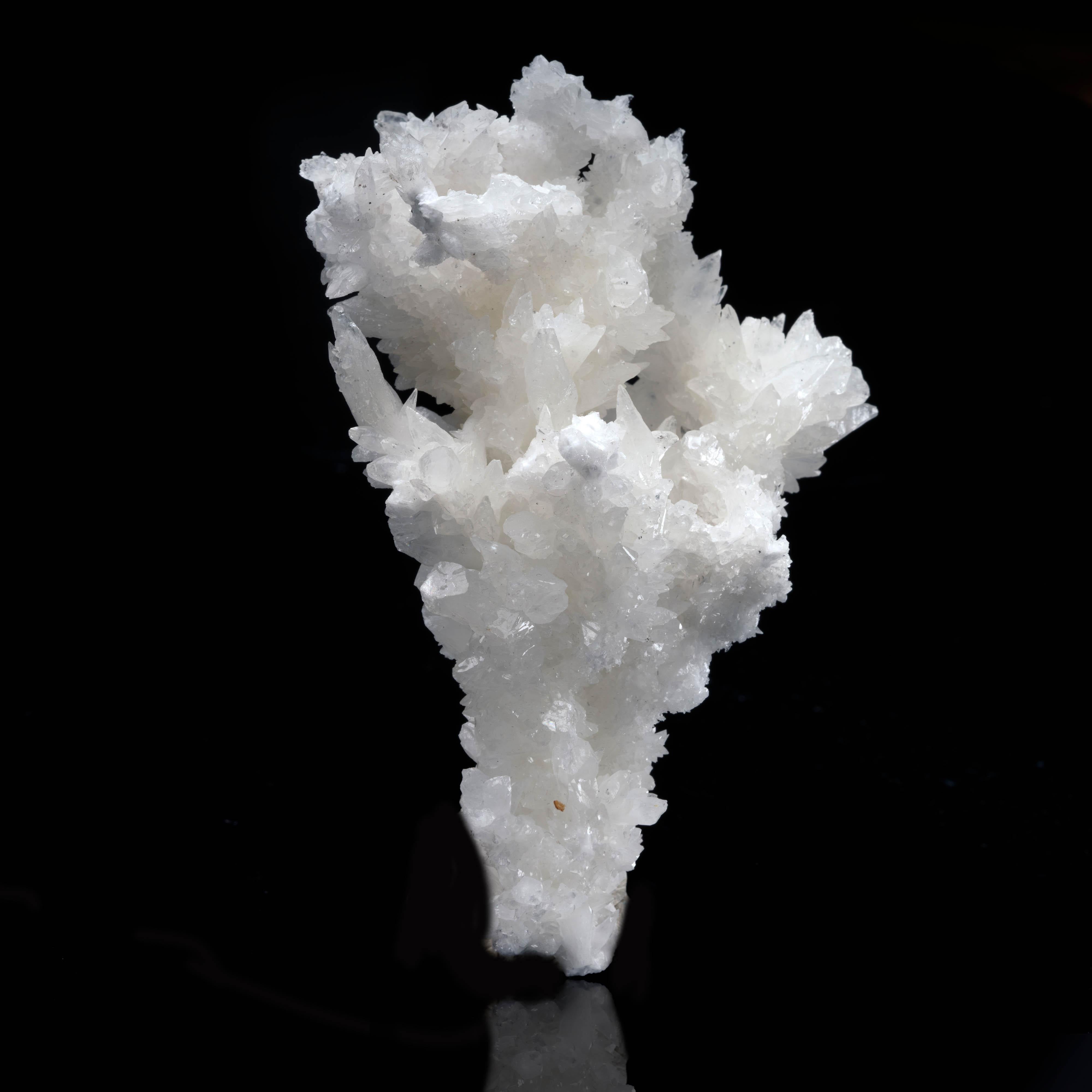 Diese Formation aus extrem glänzenden, scharfen Kalzitkristallen aus China zeigt eine Kalzitart über einer anderen, strukturell kontrastierenden Kalzitart in einer stalaktitischen Formation, die eine baumartige Struktur bildet. Eine funkelnde und