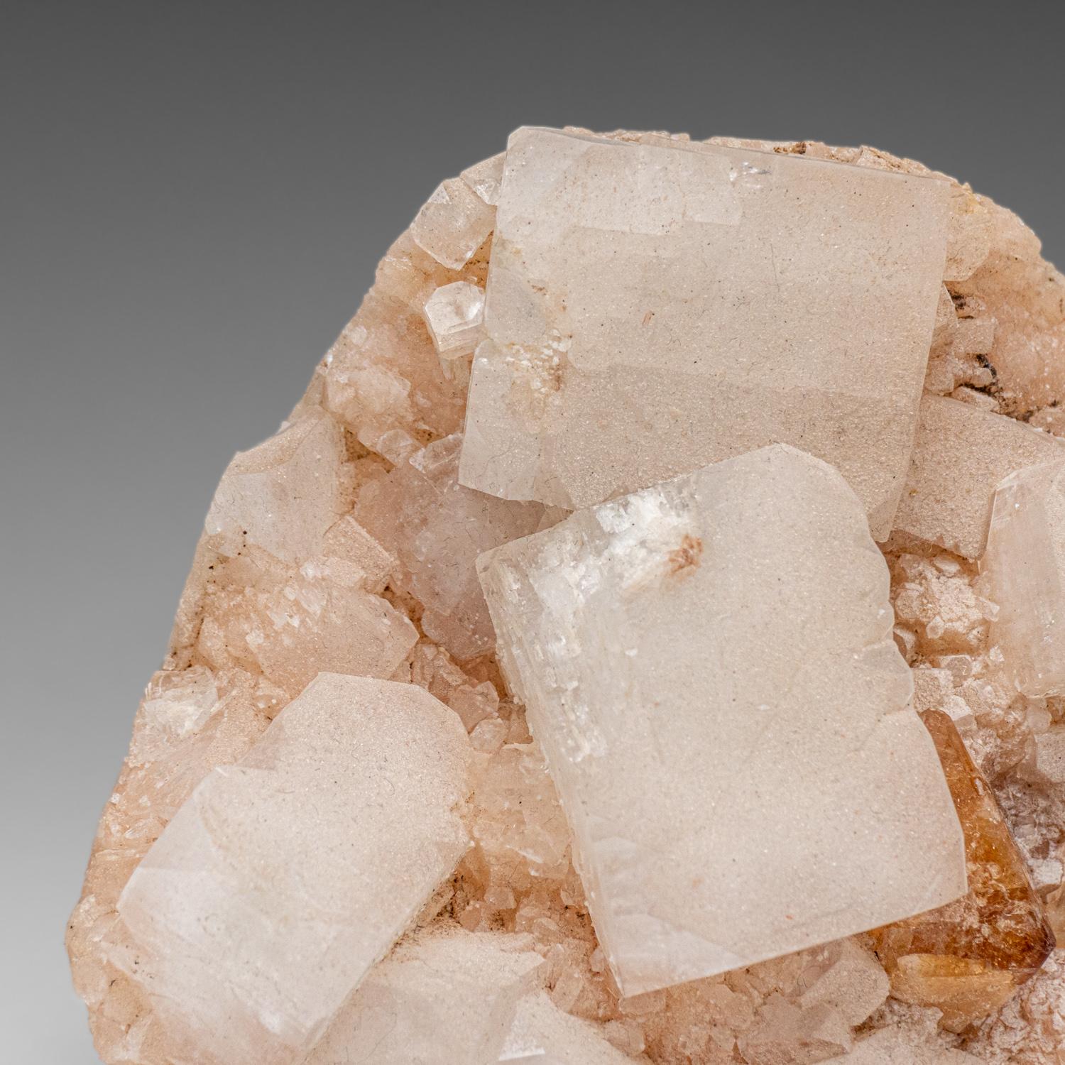 Del distrito de Nasik, Maharashtra, India

Grandes cristales cúbicos translúcidos de calcita sobre matriz de racimo de cristales de heulandita rosa claro. La calcita tiene un rico color lechoso con terminaciones nítidas y un brillo ceroso.



Peso: