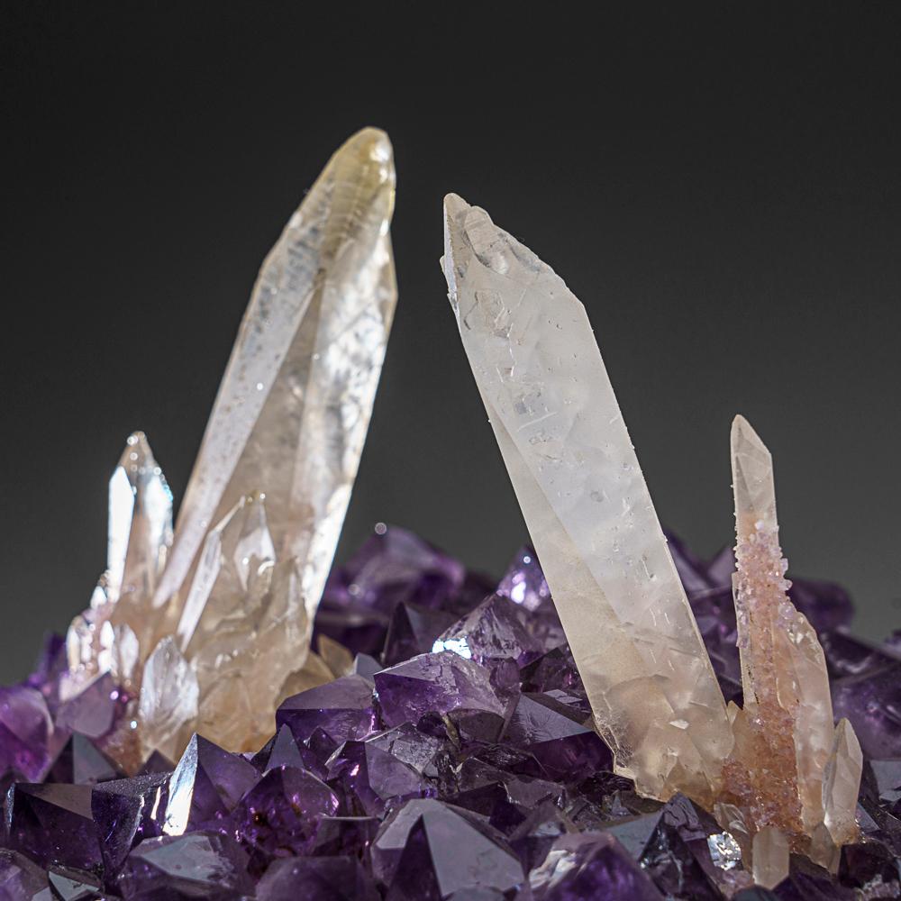 From San Eugenio, Artigas Dept., Uruguay

Sharp crystal cluster in a parallel formation of scalenohedral calcite crystals on matrix  with lustrous translucent grape purple amethyst crystals. The calcites have top transparency color, fully terminated