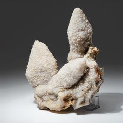 Castello di calcite pseudomorfa di Aurangabad, Maharashtra, India