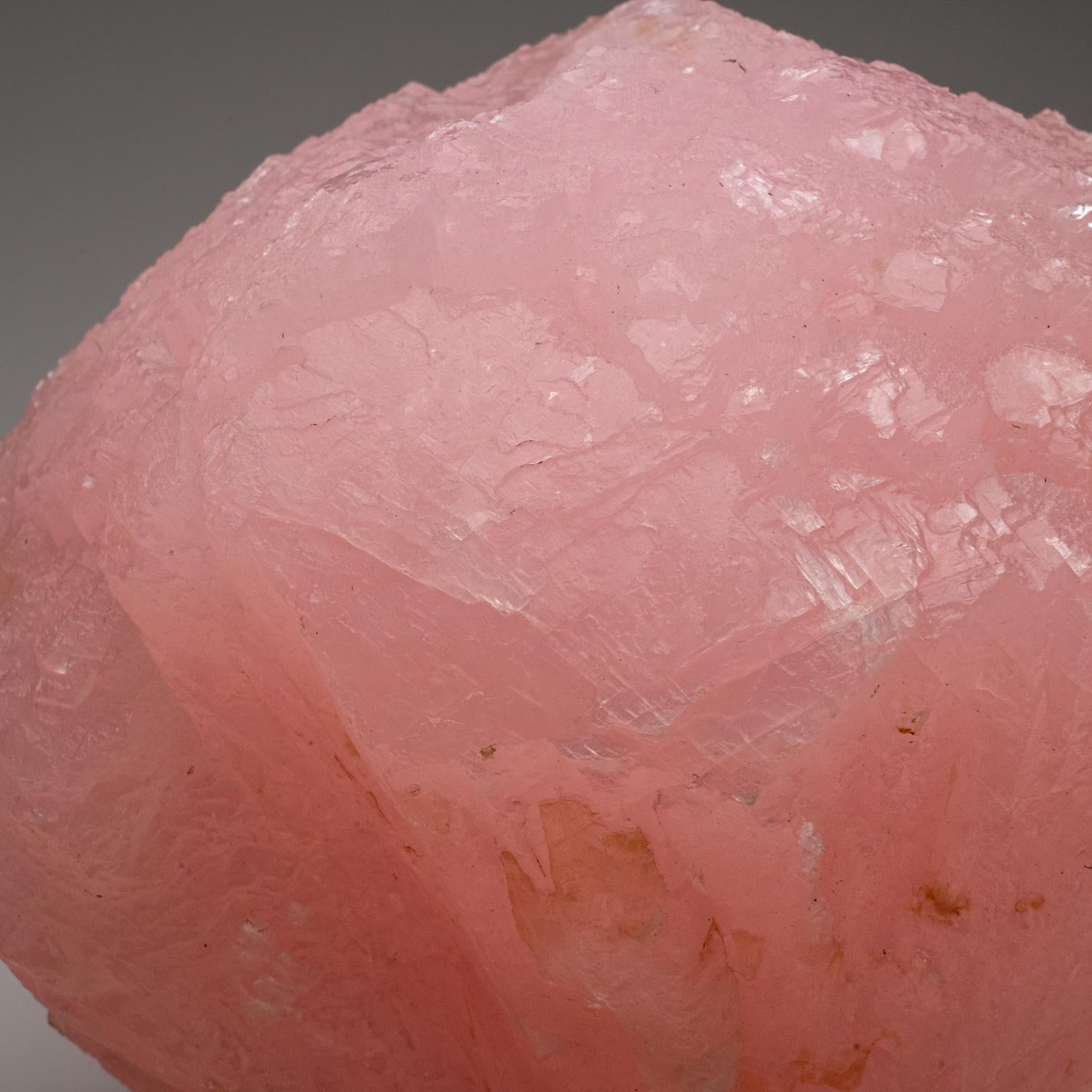 Dalla miniera di Huanggang, Keshiketeng Qi, Chifeng, Mongolia Interna, Cina


Fiore di calcite manganese rosa. Il colore rosa della calcite è causato da impurità di manganese e spesso viene etichettato come manganocalcite, un nome minerale