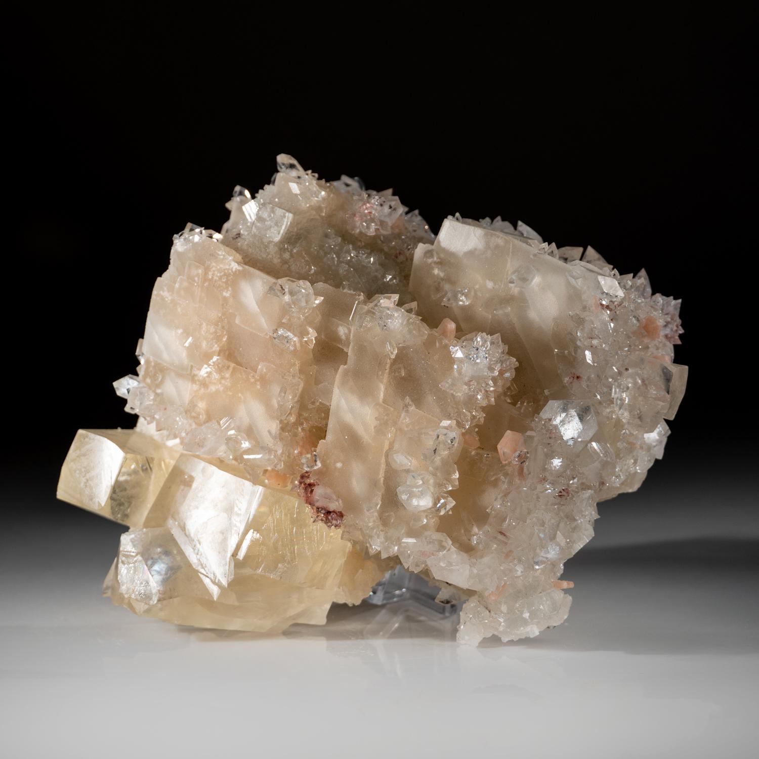 From Jalgaon,  Maharashtra, India

Large cabinet specimen of rich golden yellow calcite crystal cluster partially covered in lustrous gem apophyllite crystals. The calcite has sharp rhombohedral form with lustrous faces showing sub parallel