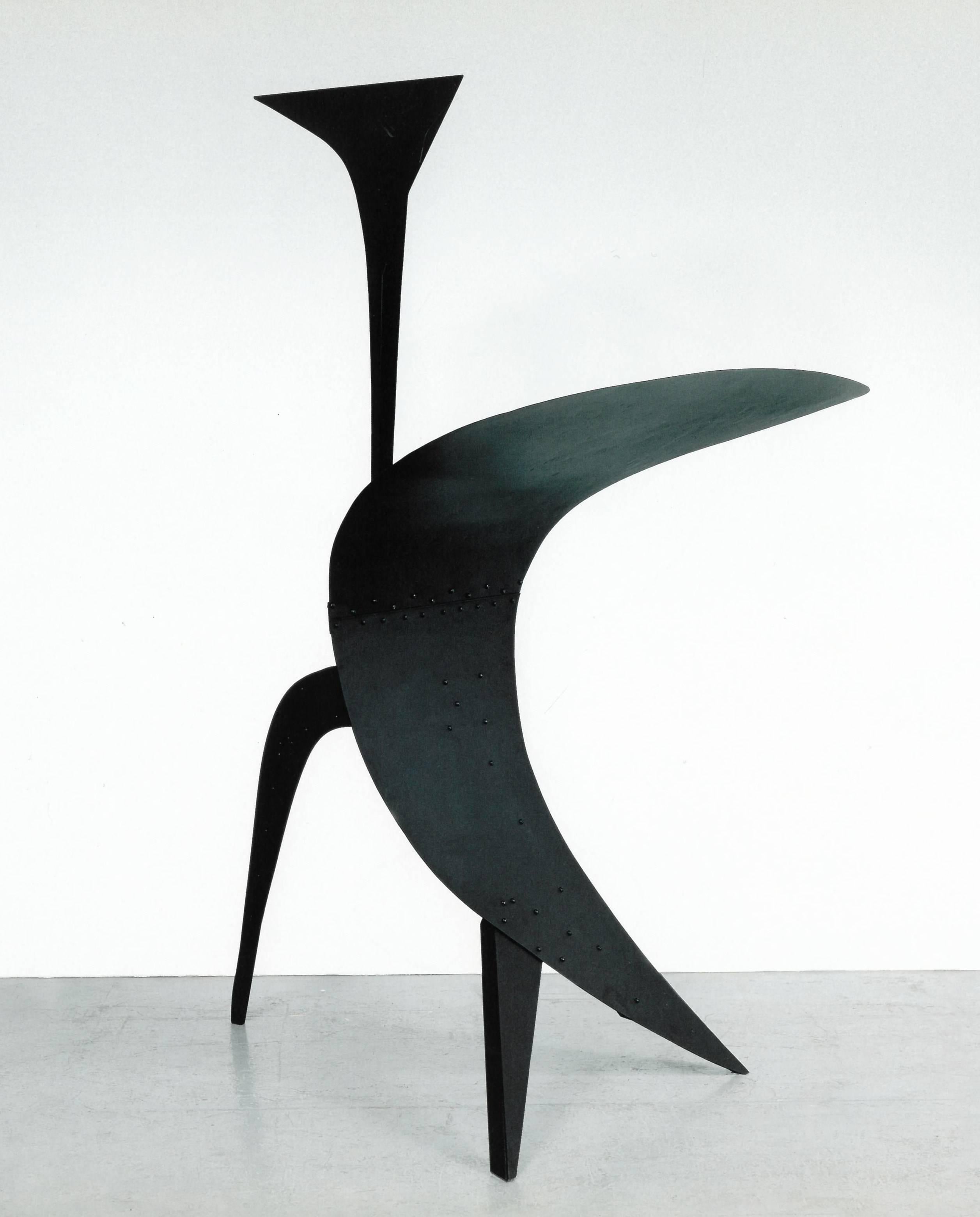 20th Century Calder, Gravity and Grace (Book)