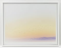 Un breve movimiento tras la muerte 17