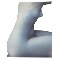 Calendrier Pirelli , Photographies de Anna Leibovitz Année 2000