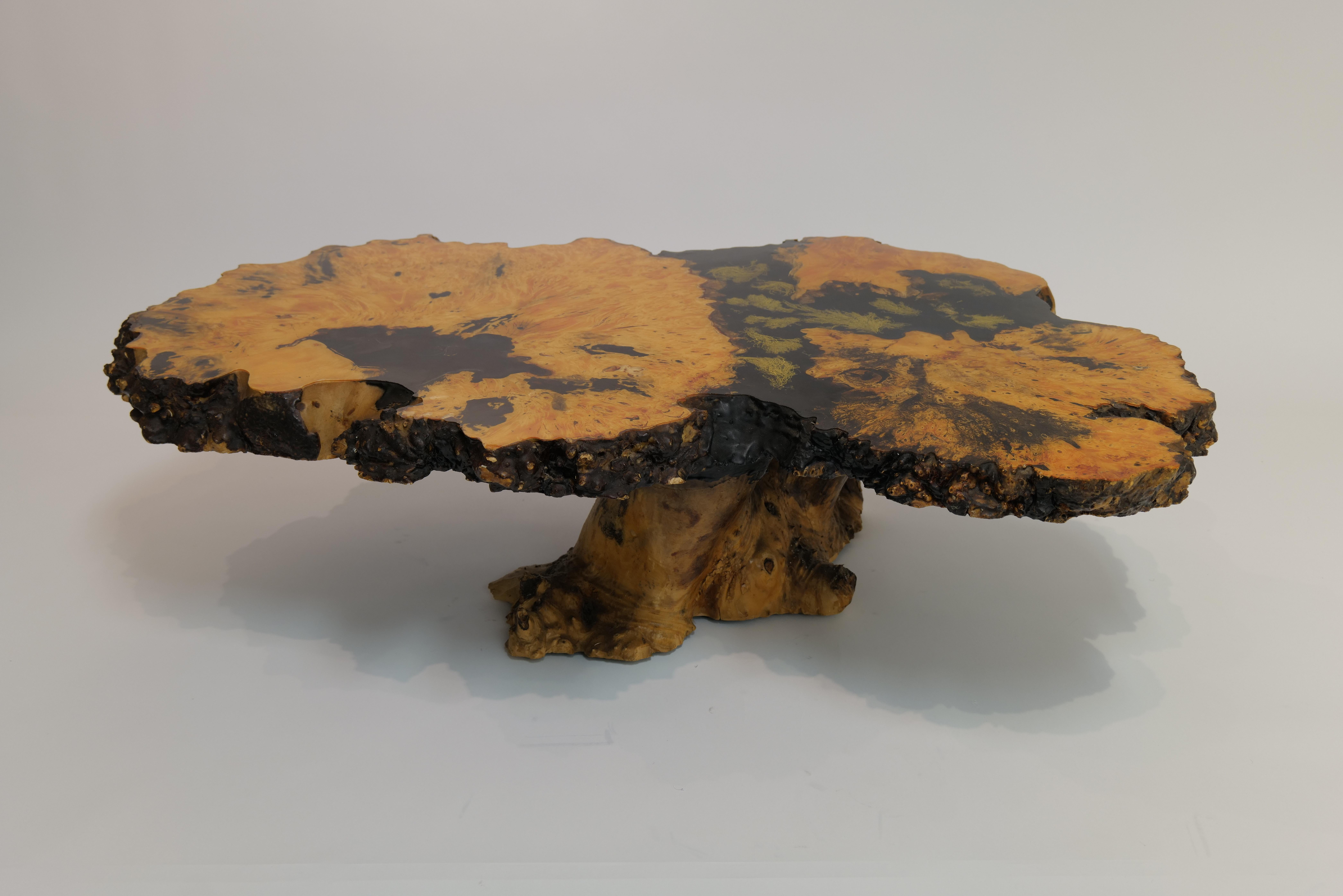 Table de cocktail californienne Buckeye Burlwood par Mountain Craft, 1970 en vente 11