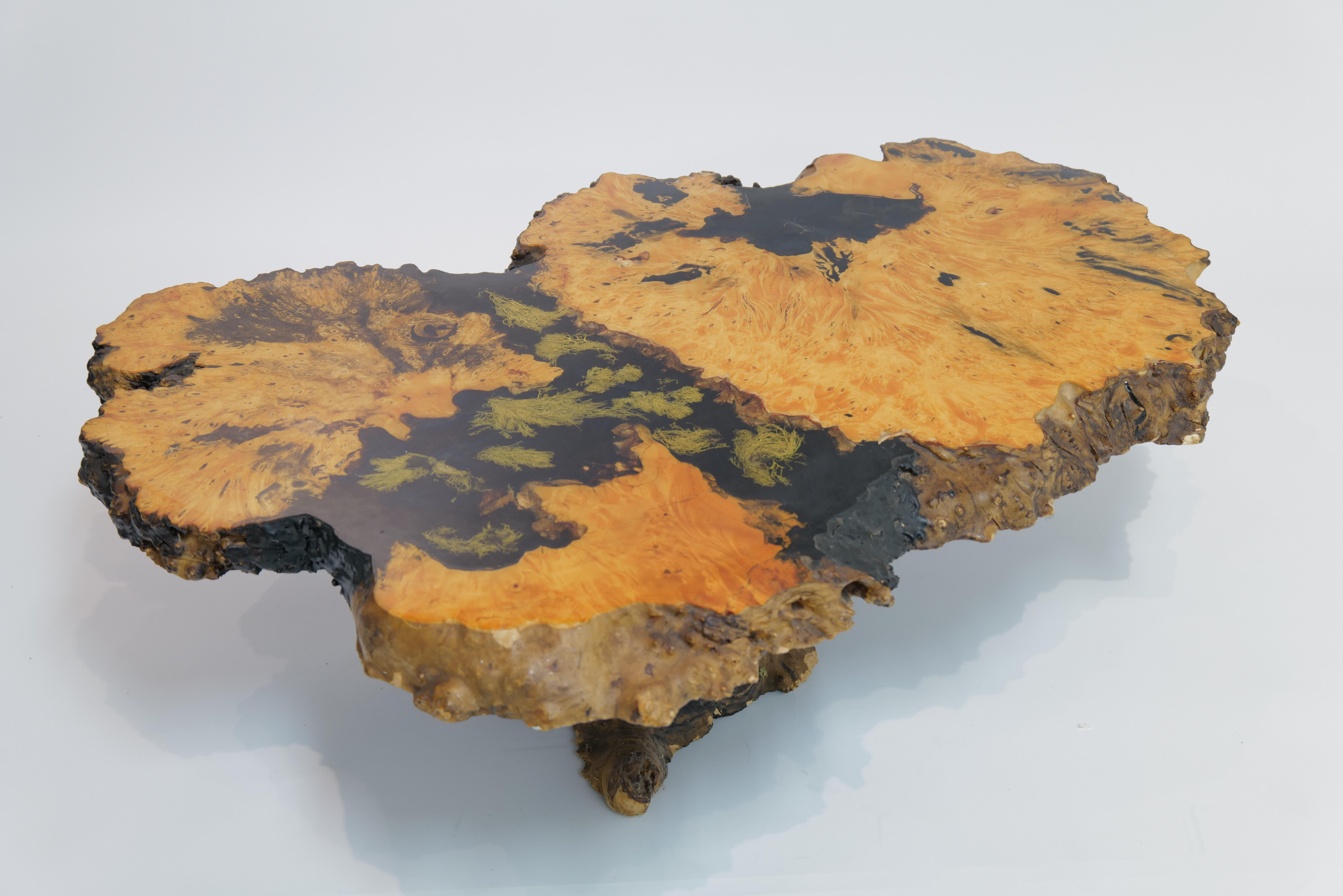 Étonnante et sculpturale table à cocktail en bois de bourdaine de Californie, fabriquée par Mountain Craft, vers les années 1970. Cette table fabriquée à la main met en valeur l'art naturel de la loupe de sureau, avec son jeu saisissant de veinures