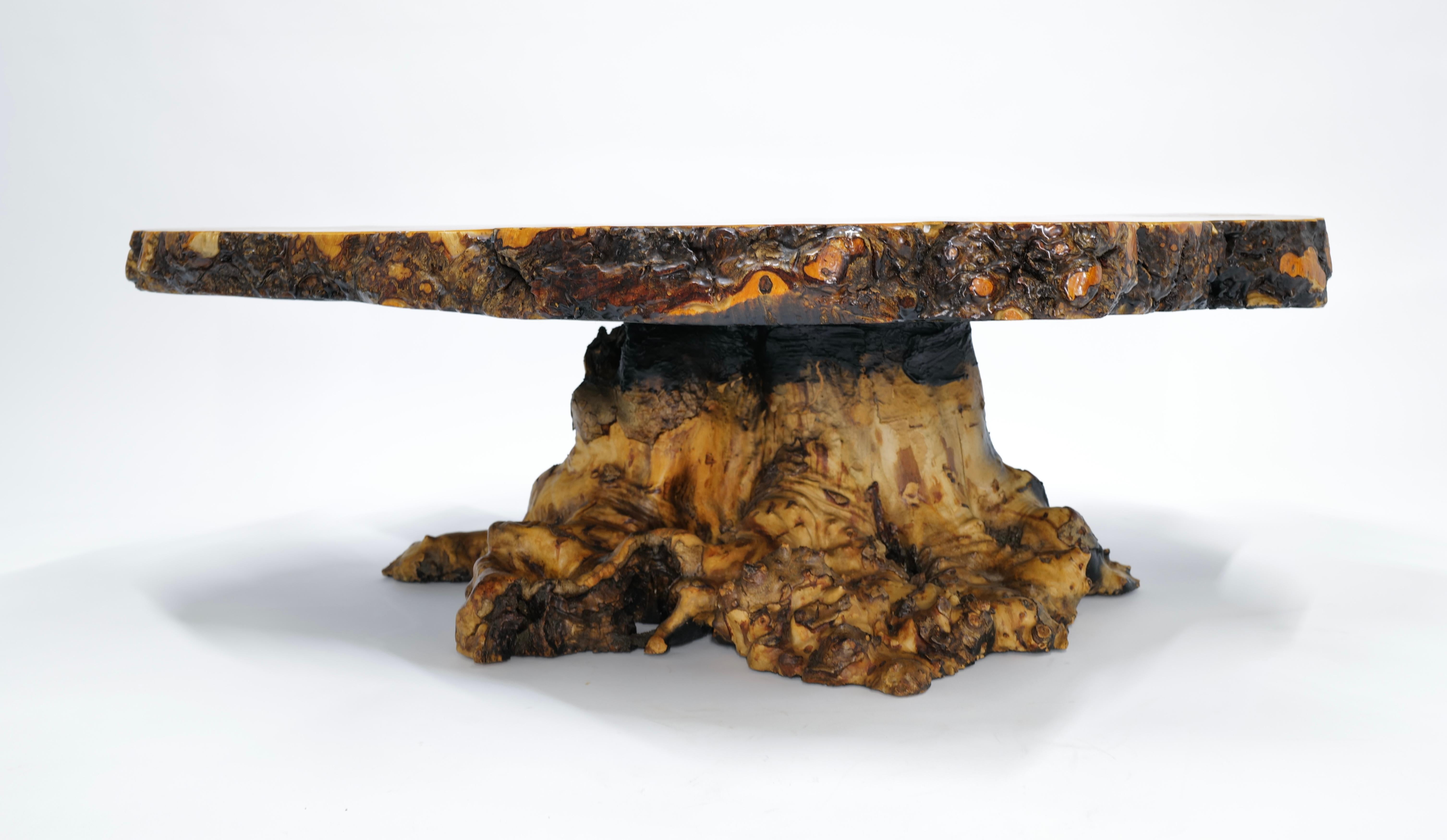 Stellen Sie sich ein atemberaubendes Möbelstück vor, das mühelos die Schönheit der Natur mit elegantem Design verbindet: der Live Edge California Buckeye Burlwood Cocktail Table. Dieser Tisch ist aus feinstem kalifornischen Buckeye Burlwood