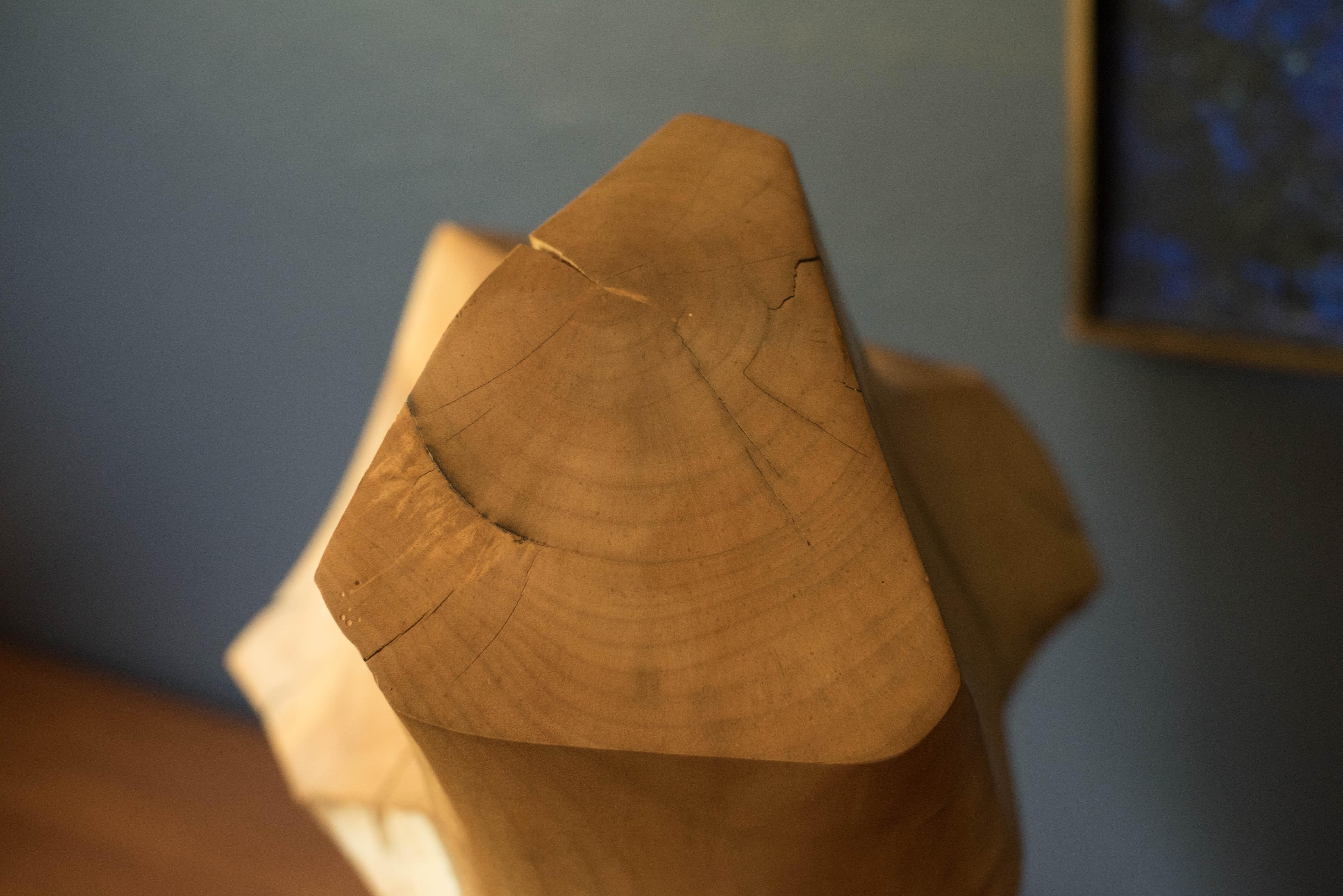 California Modern Abstract Carved Wood Sculpture by Doug Ayers For Sale 8