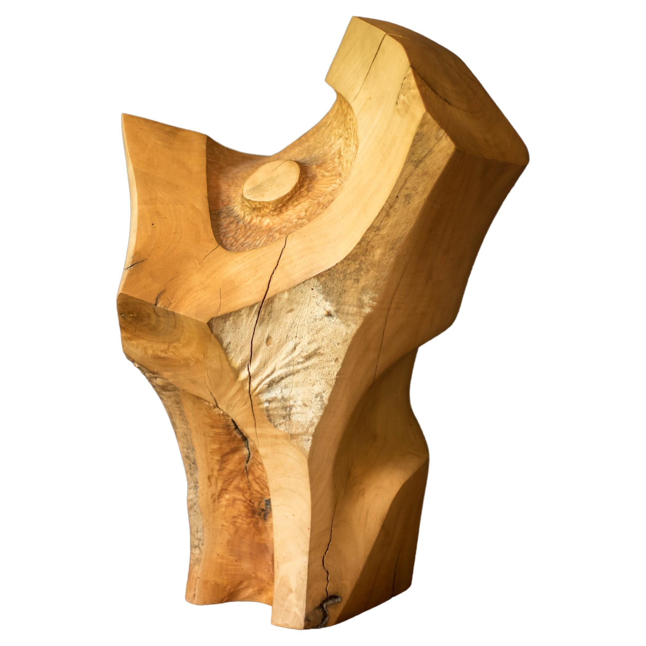 California Modern Abstract Carved Wood Sculpture by Doug Ayers For Sale