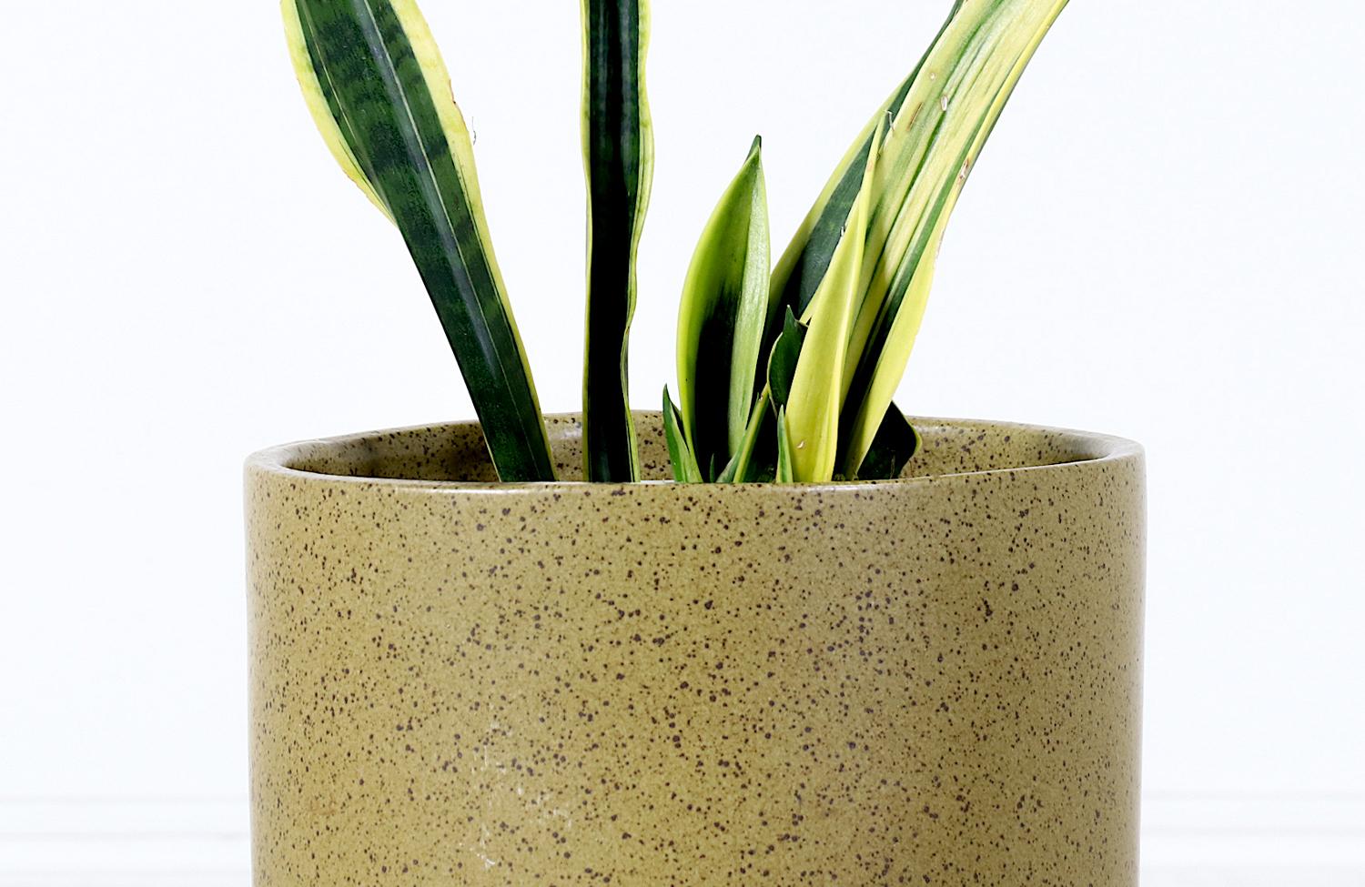 American California Modern Pro Artisan Olive Green Stoneware Planter by David Cressey For Sale