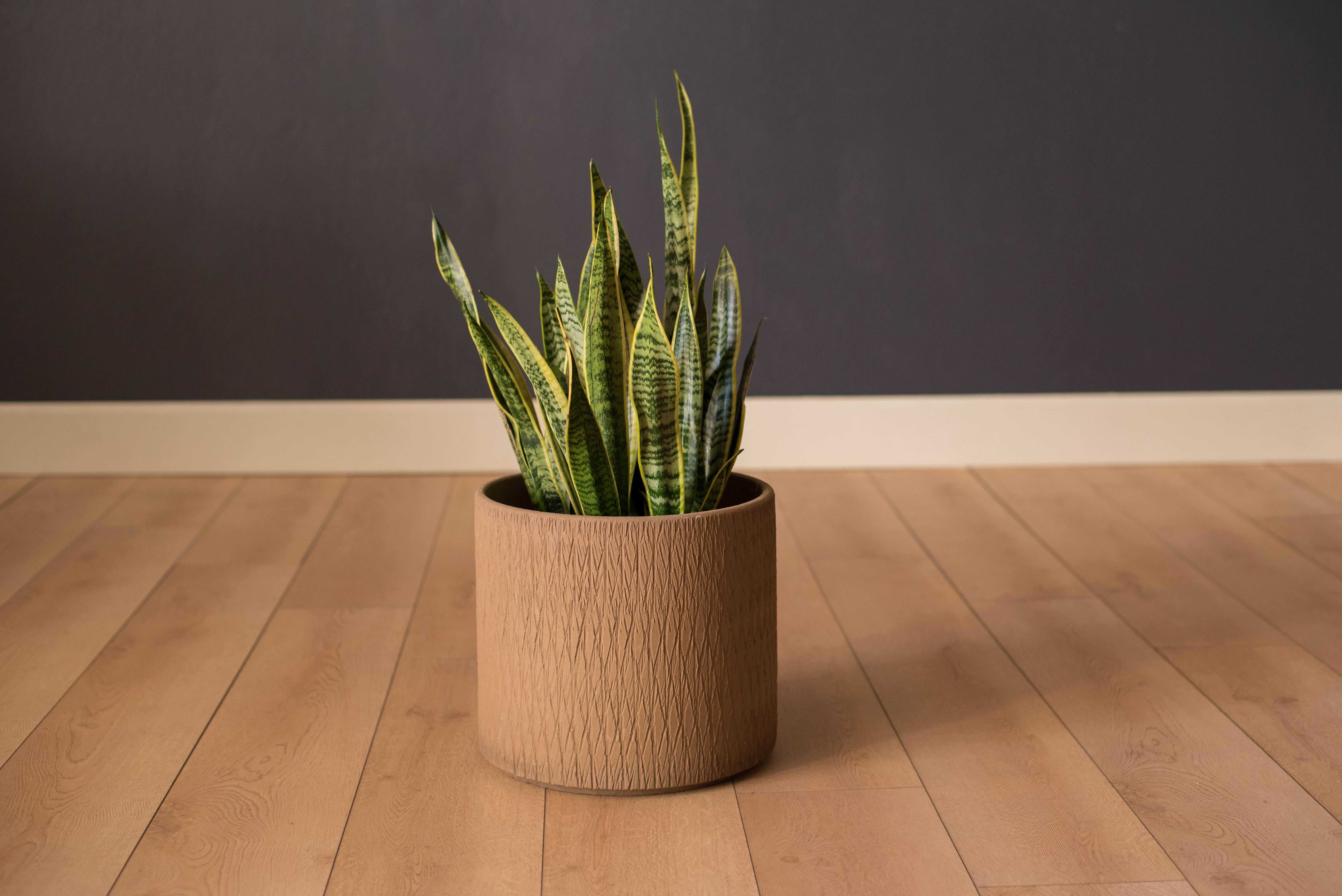 Mid-Century Modern sgraffito ceramic planter made by Gainey Ceramics. This piece can be used both indoor or outdoor and displays a unique etched design with a neutral matte brown finish.


Offered by Mid Century Maddist