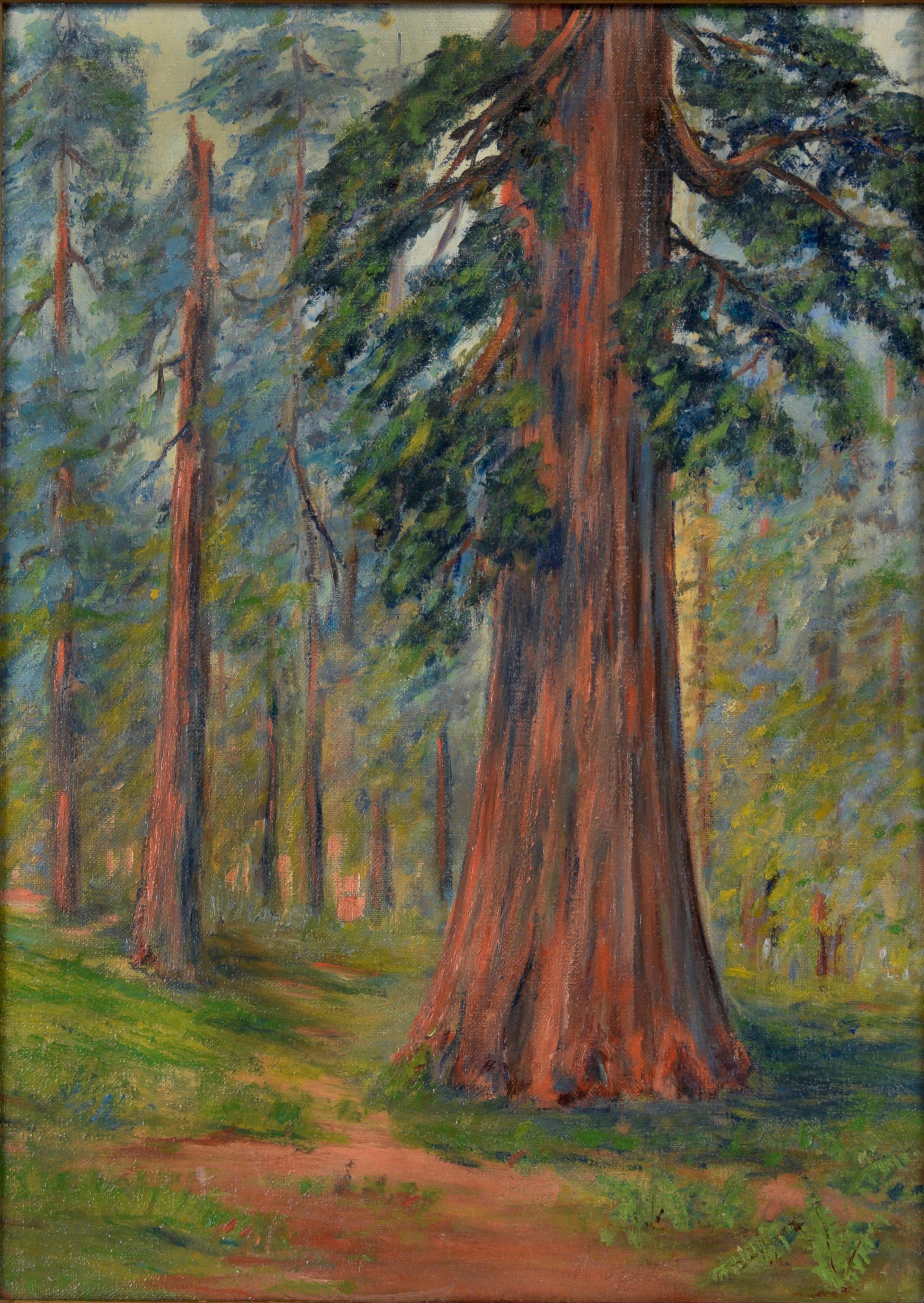 Through The Redwoods – California Impressionismus ca. 1930er Jahre – Painting von California School