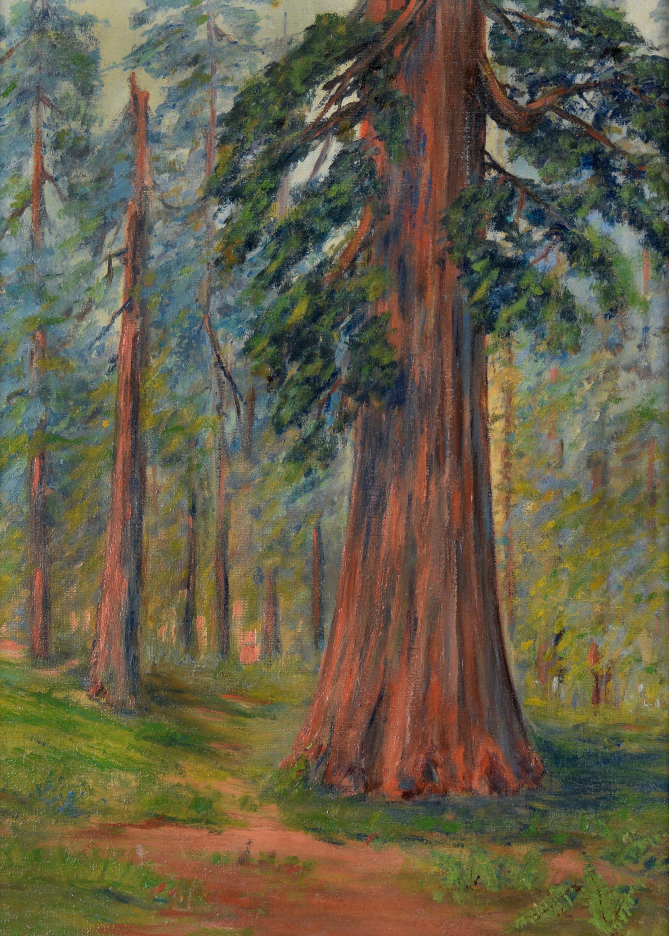 Through The Redwoods - California Impressionism Circa 1930s - American Impressionist Painting by California School