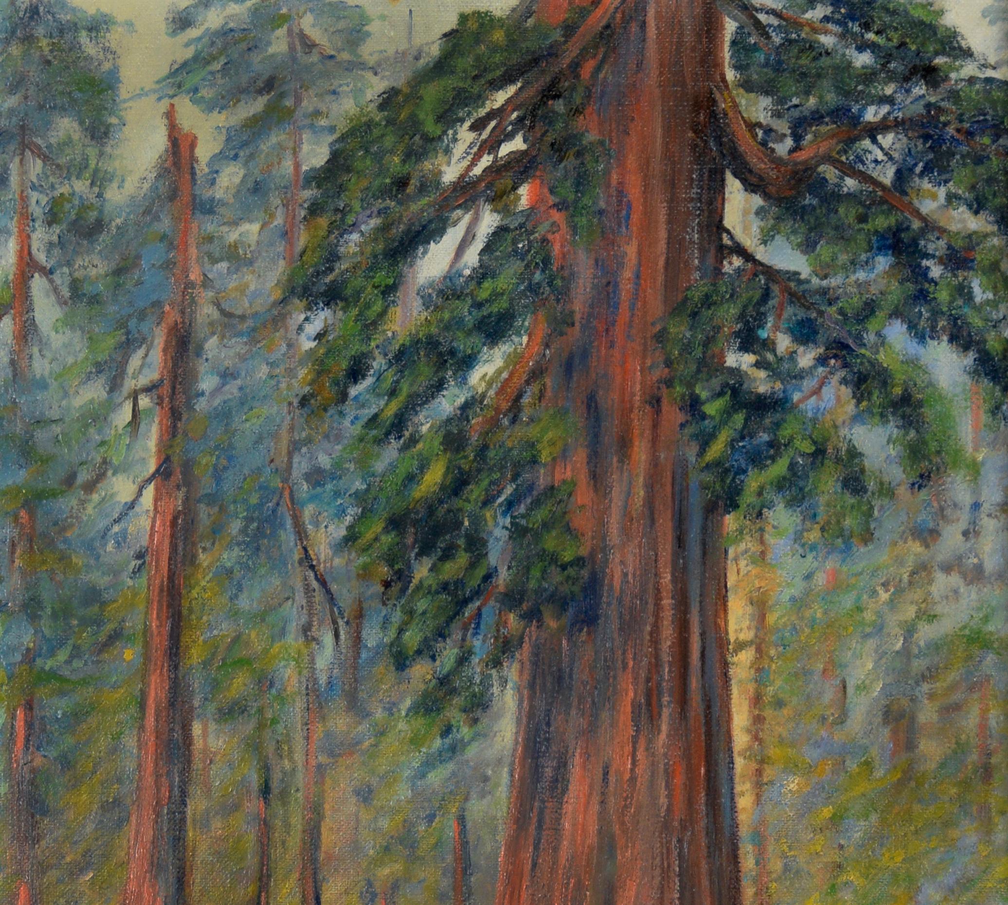 Through The Redwoods - American Impressionist

American Impressionist oil painting depicting a forest of California redwood trees. A giant redwood tree stands out as the focal point, with branches of vibrant dark green leaves, while different hues