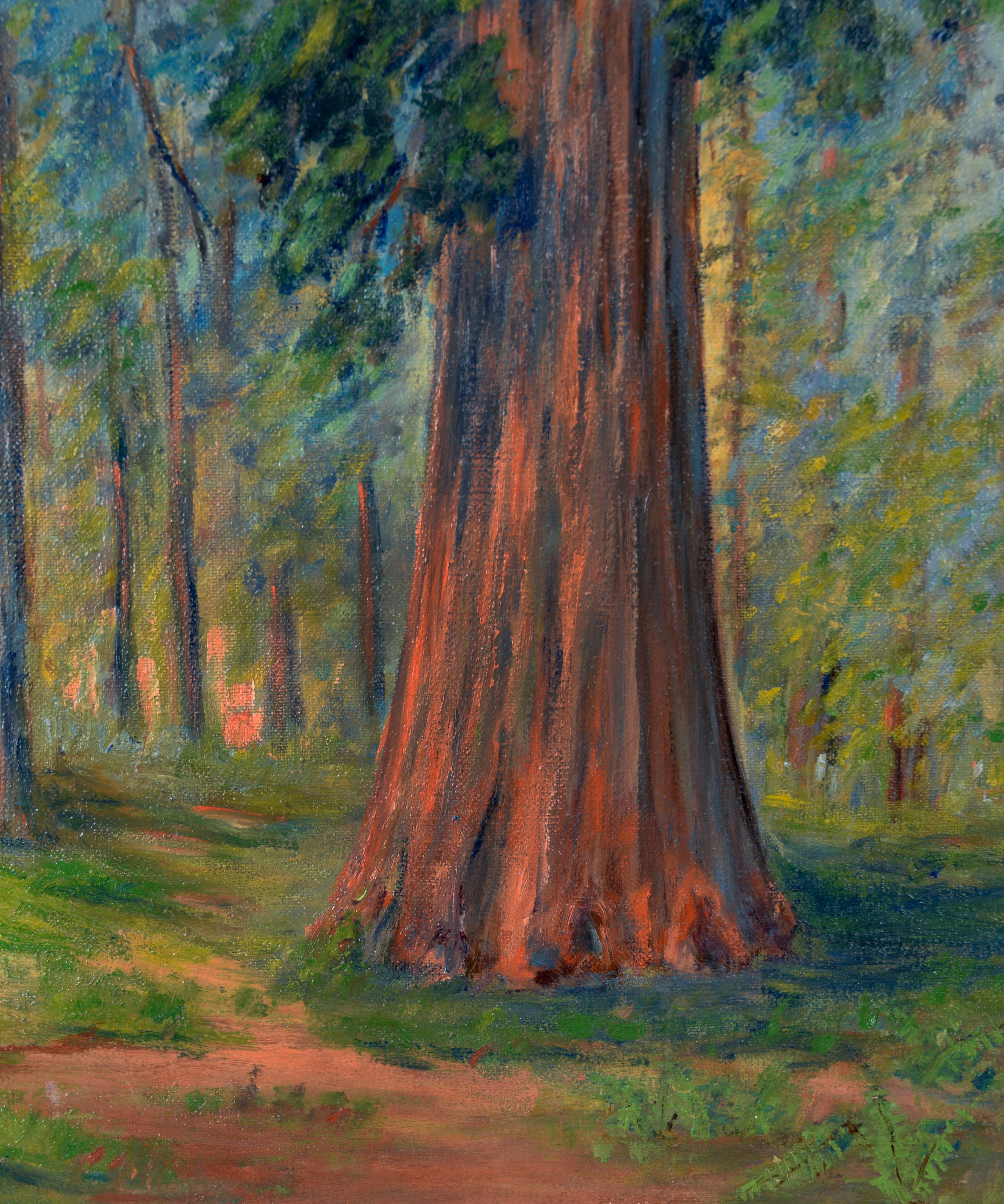 Through The Redwoods – California Impressionismus ca. 1930er Jahre im Angebot 1