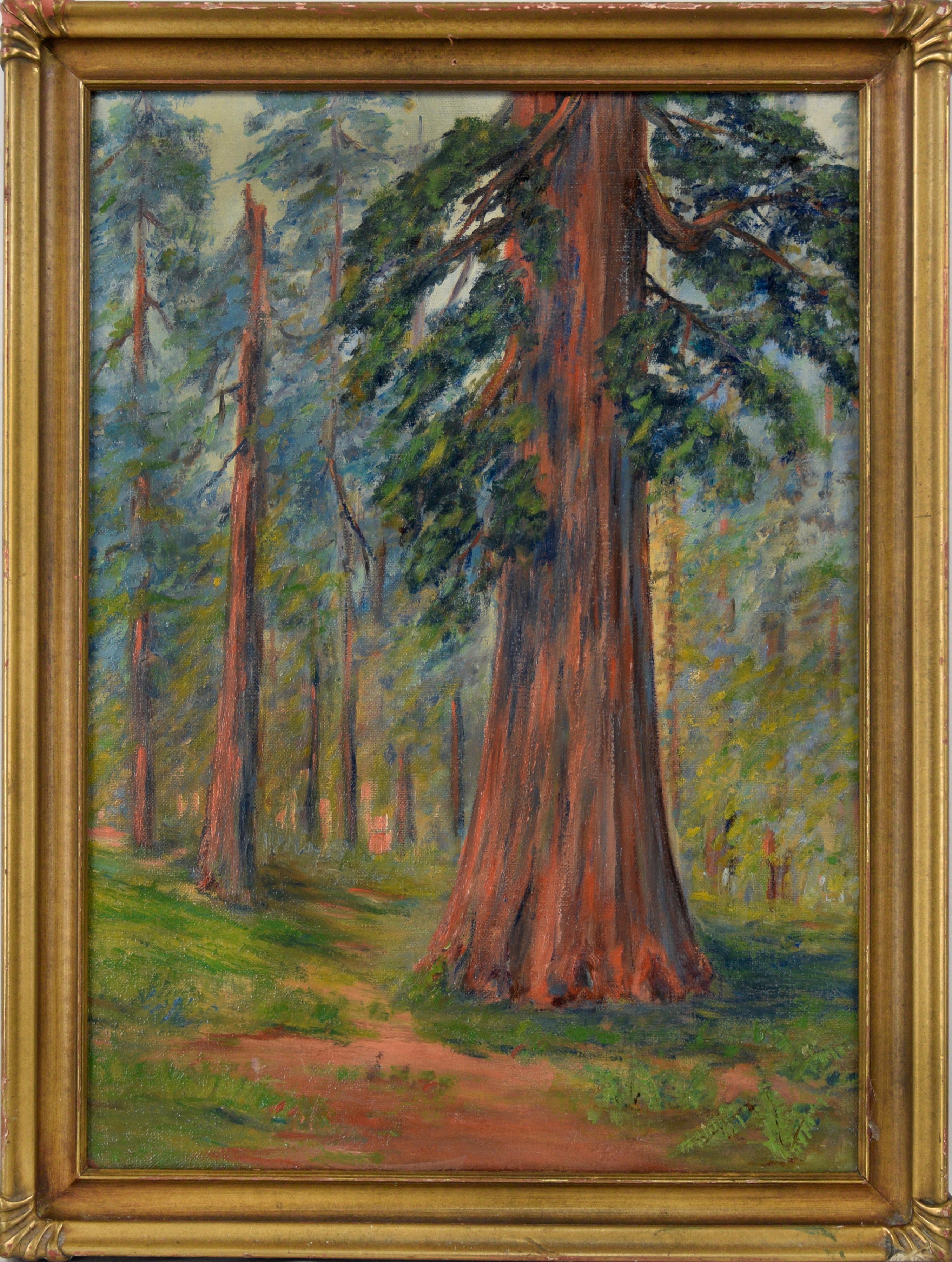 California School Landscape Painting - Through The Redwoods - California Impressionism Circa 1930s