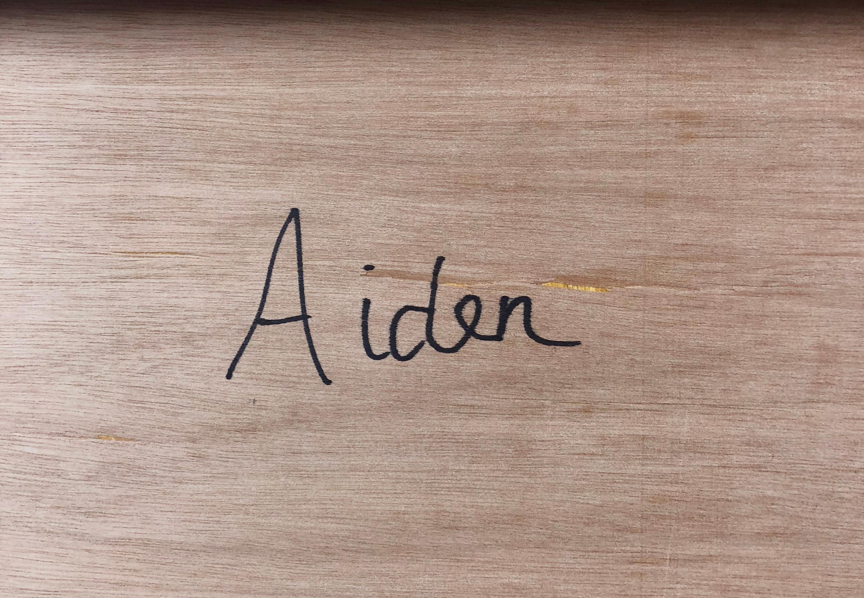 Aiden For Sale 2