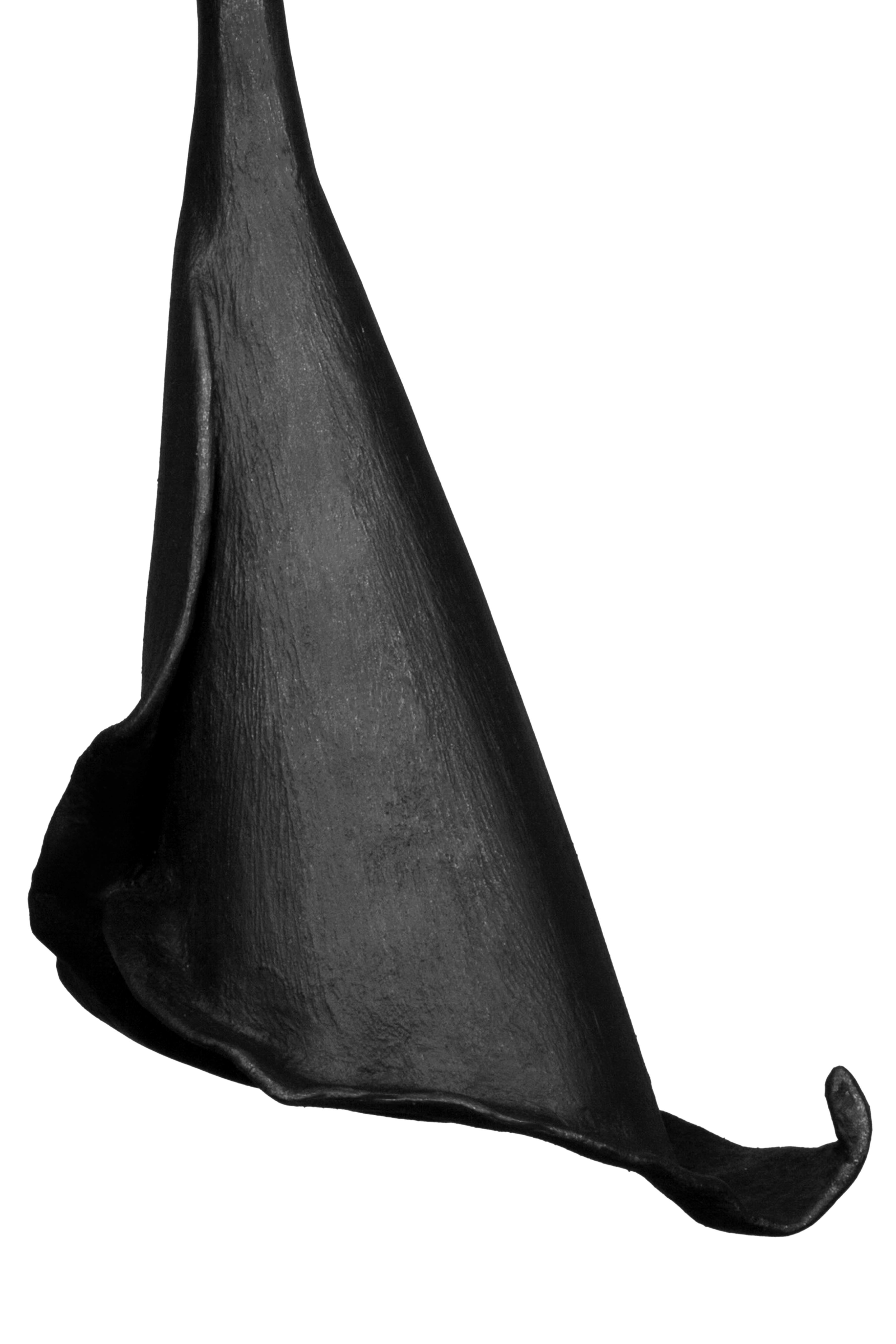 Per uno spazio ampio che necessita di un'illuminazione d'autore, il lampadario Calla Lily è una buona opzione. Si propone di dominare grazie alle sue dimensioni, alla sua forma organica e al suo design contemporaneo. Scolpito a mano in gesso, puoi