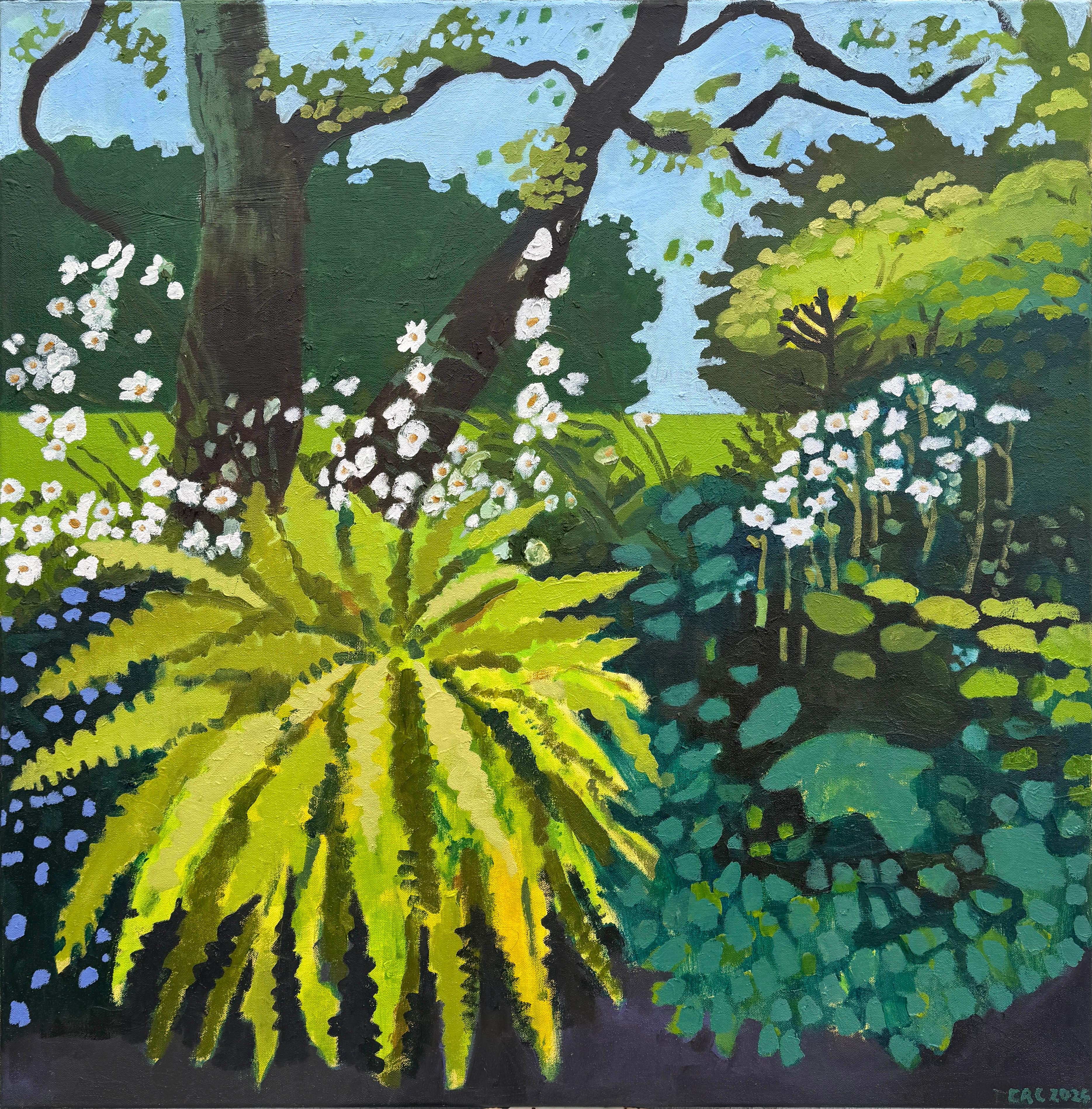 Fern