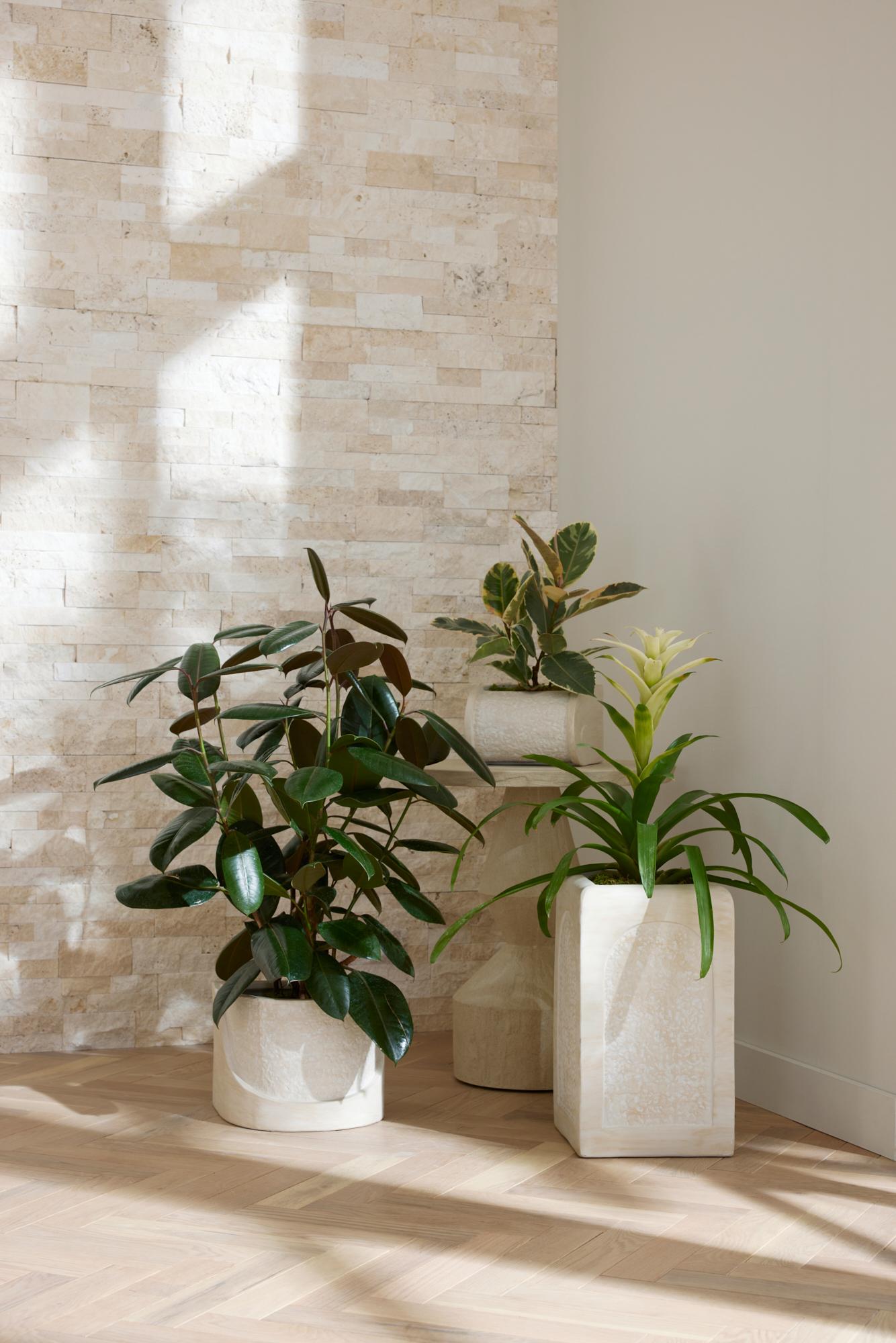 Jardineras Callie, Lote de 3 AVS07 - Talladas, Terracota Marfil en venta 2