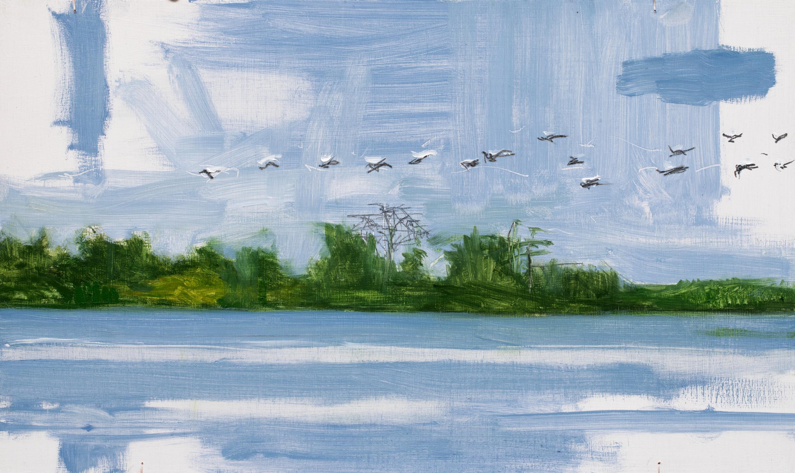 10/02/2023, 13.59h von Calo Carratalá - Kleine Wasserlandschaft, Senegal, Vögel im Angebot 4