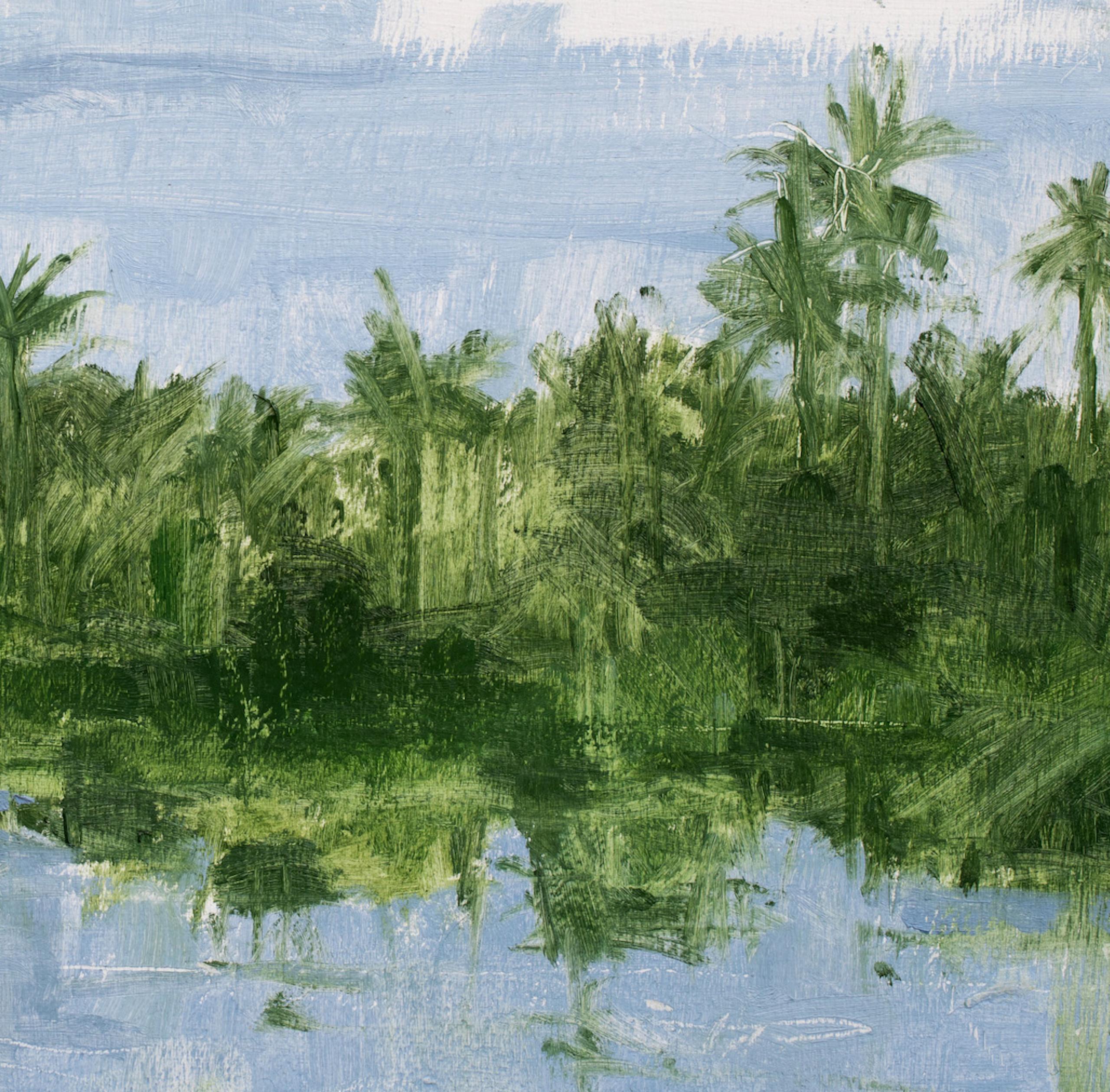 11/02/2023, 16.56h von Calo Carratalá - Kleine Wasserlandschaft, Senegal, Palmen im Angebot 7