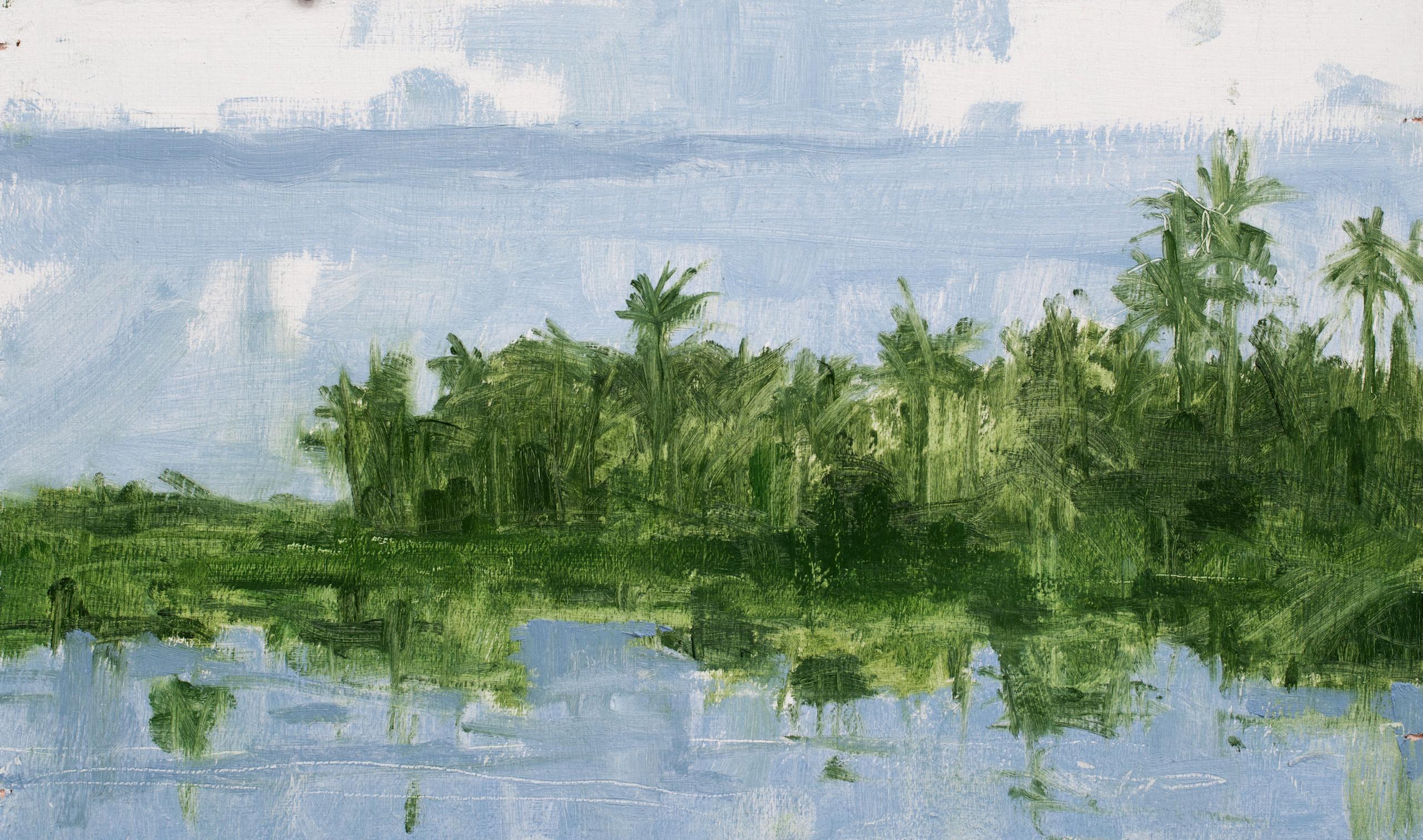 11/02/2023, 16.56h da Calo Carratalá - Piccolo dipinto di paesaggio acquatico, Senegal, palme
