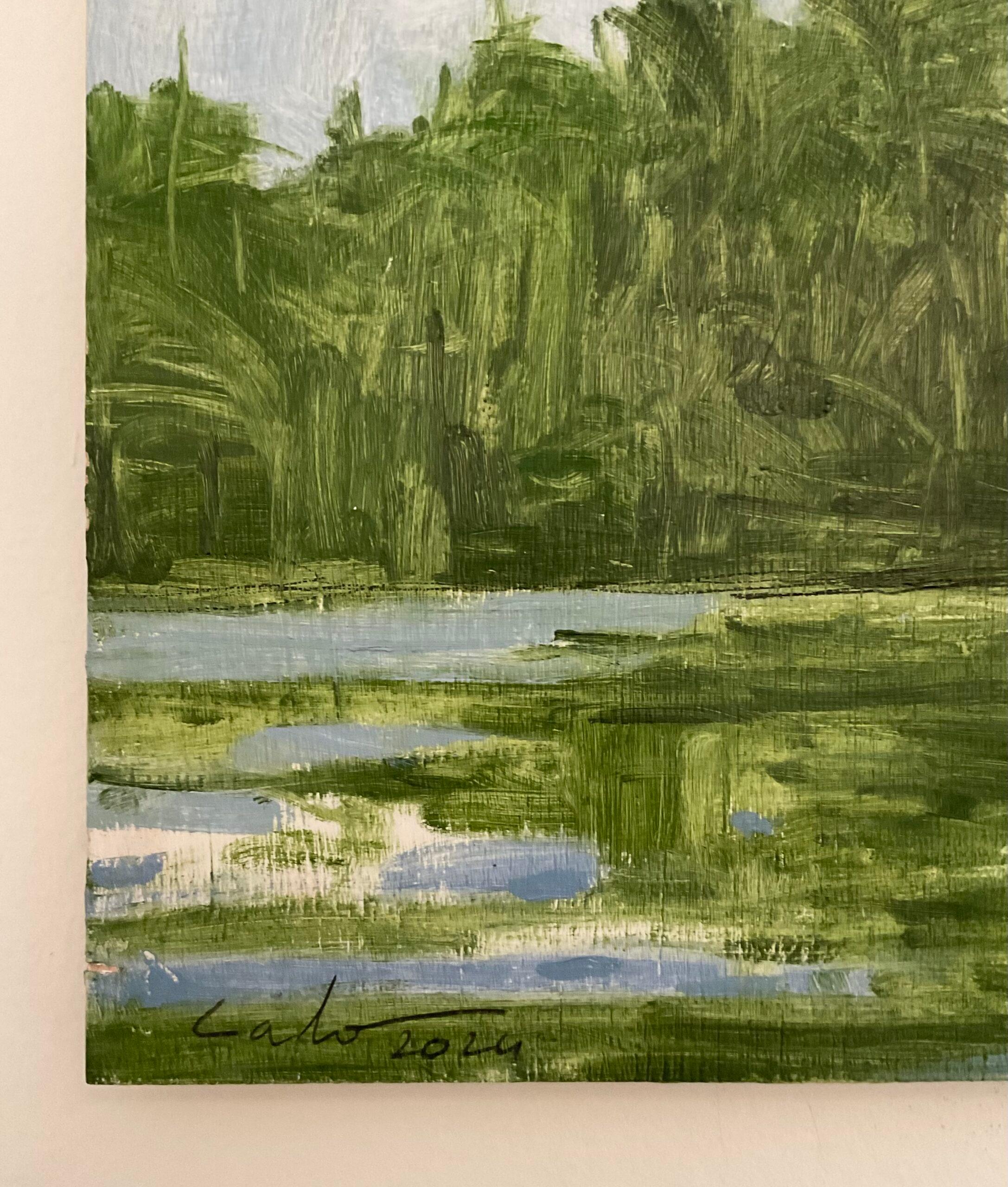 11/02/2023, 18.03h by Calo Carratalá - Kleine Wasserlandschaft, Senegal, Palmen im Angebot 8