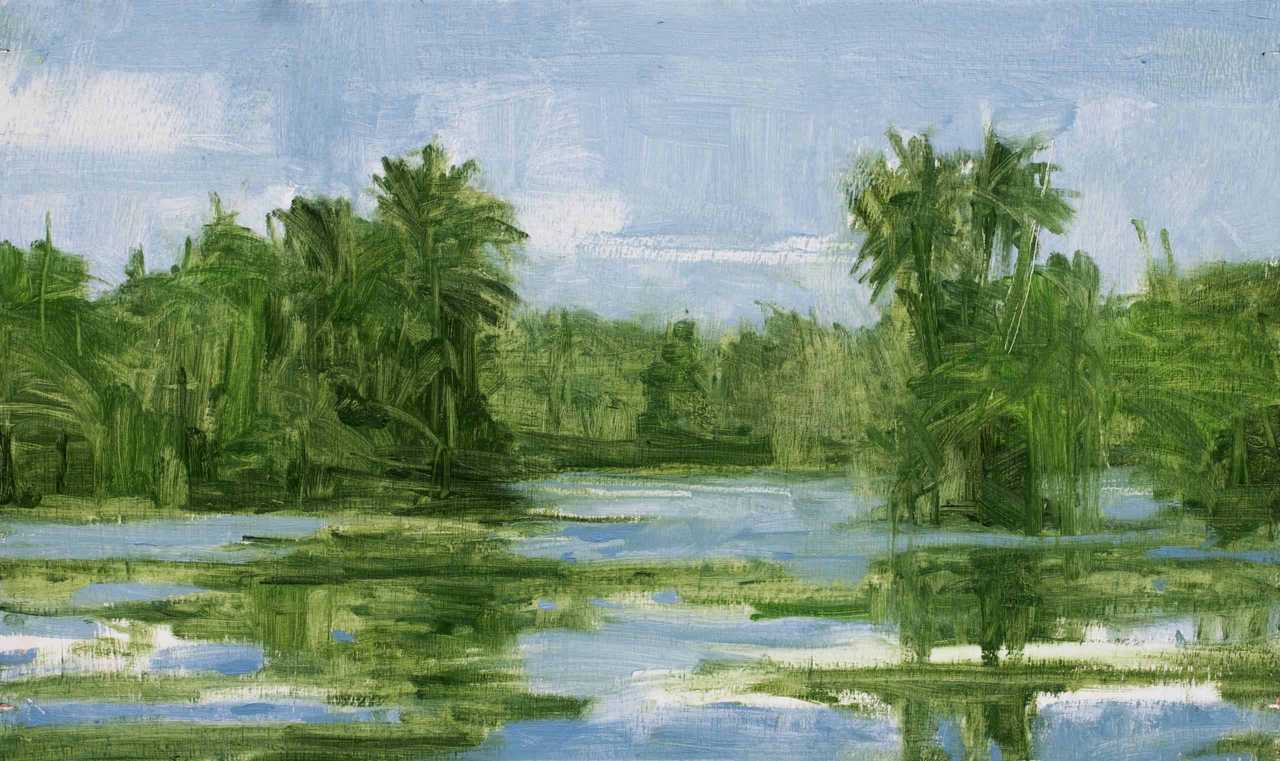 11/02/2023, 18.03h da Calo Carratalá - Piccolo dipinto di paesaggio acquatico, Senegal, palme