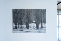 Alpine forests N2 by Calo Carratalá - Large landscape painting, snowy forest