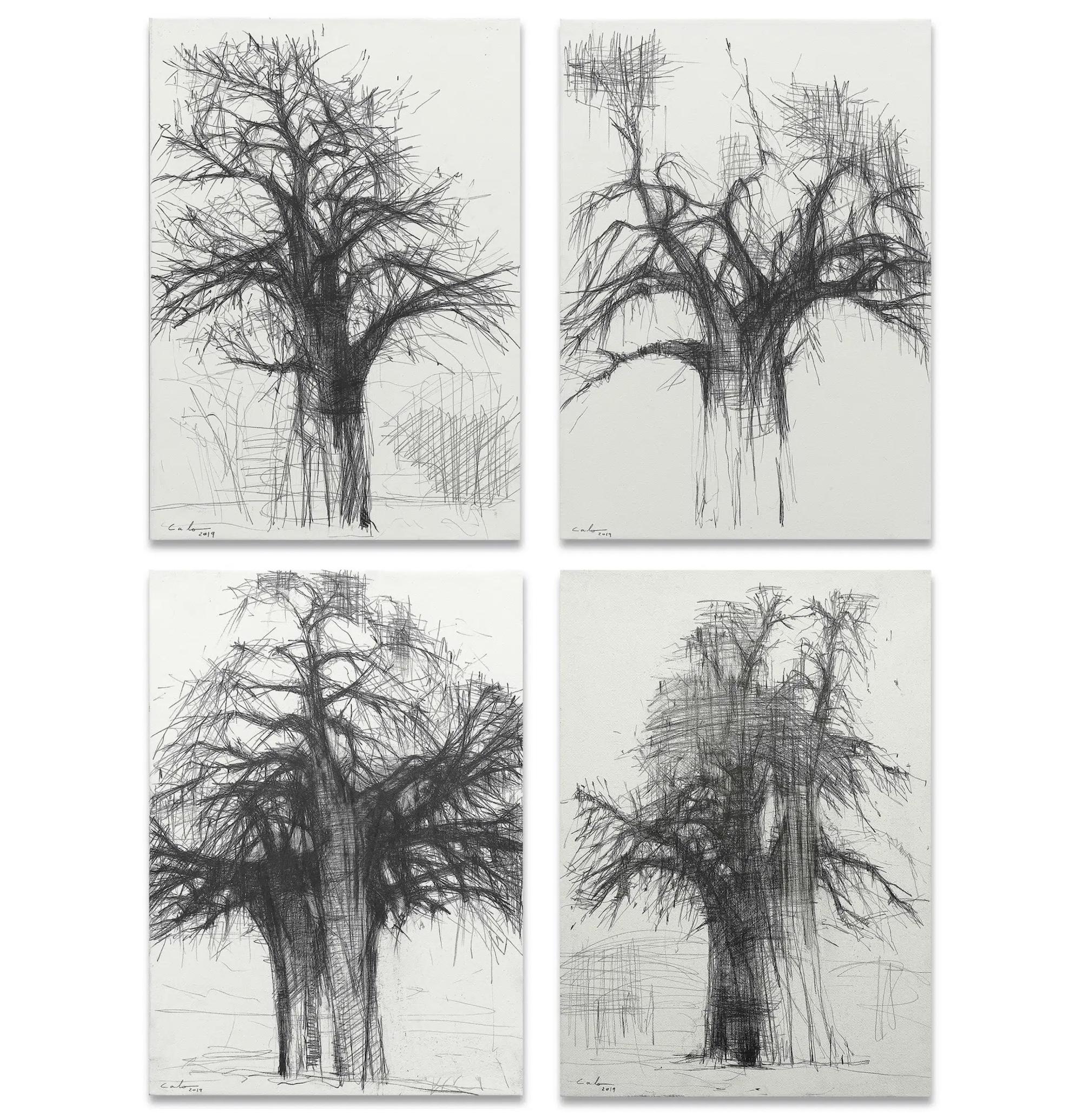 Calo Carratalá Figurative Painting – Baobabs von Calo Carratala - Satz von 4 Arbeiten auf Papier, schwarz-weiß Zeichnungen