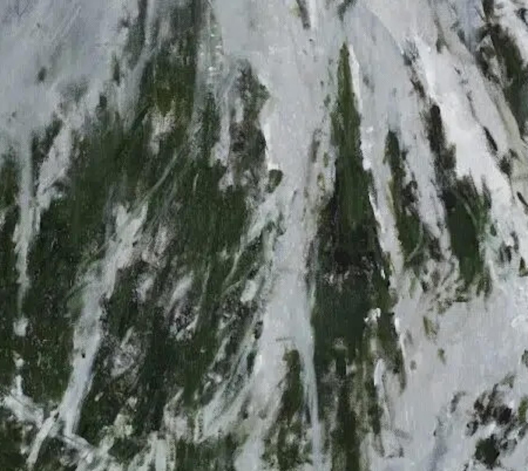 Baqueira by C. Carratalá - cuadro grande, paisaje de montaña, nieve - Landscape Painting Gris de Calo Carratalá