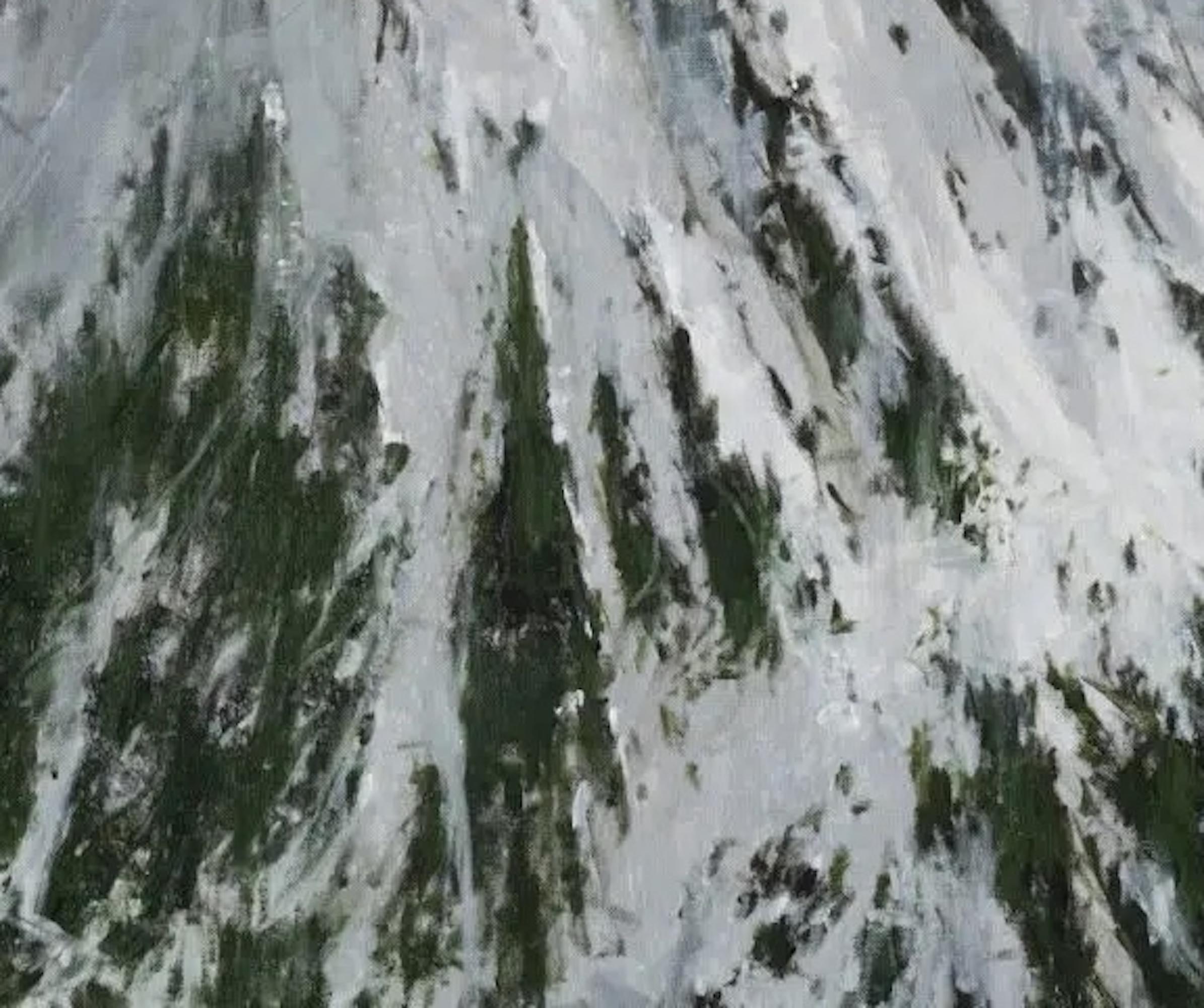 Baqueira by C. Carratalá - cuadro grande, paisaje de montaña, nieve en venta 2