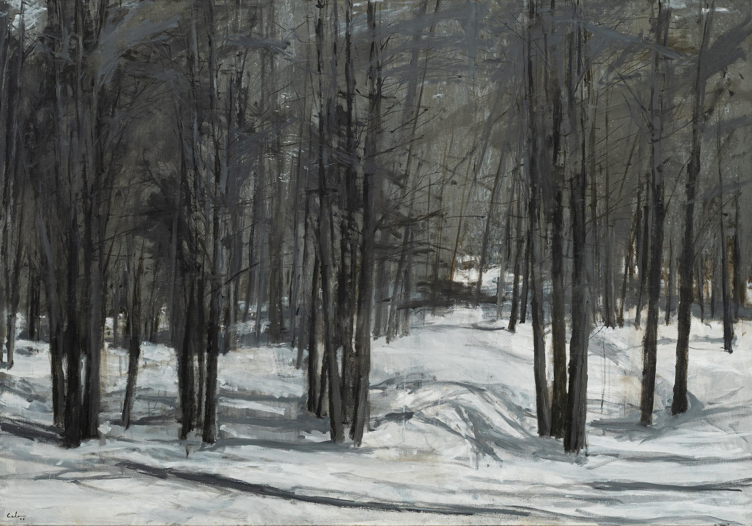 Bosques Alpes N2 ist ein einzigartiges Ölgemälde auf Leinwand des spanischen zeitgenössischen Künstlers Calo Carratalá mit den Maßen 140 × 200 cm (55,1 × 78,7 Zoll). 
Das Kunstwerk ist signiert, wird gerahmt verkauft und kommt mit einem